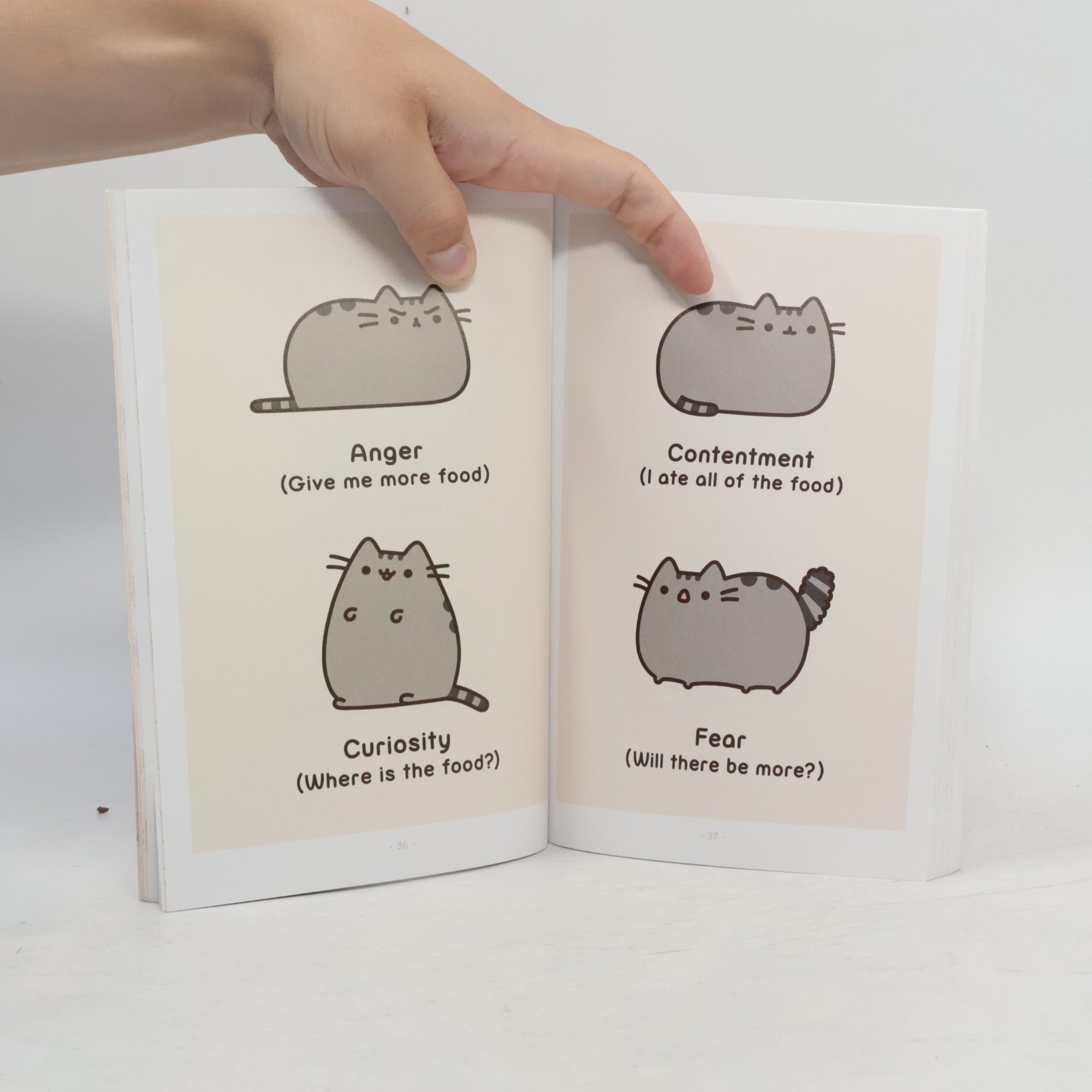 Claire Belton I Am Pusheen the Cat