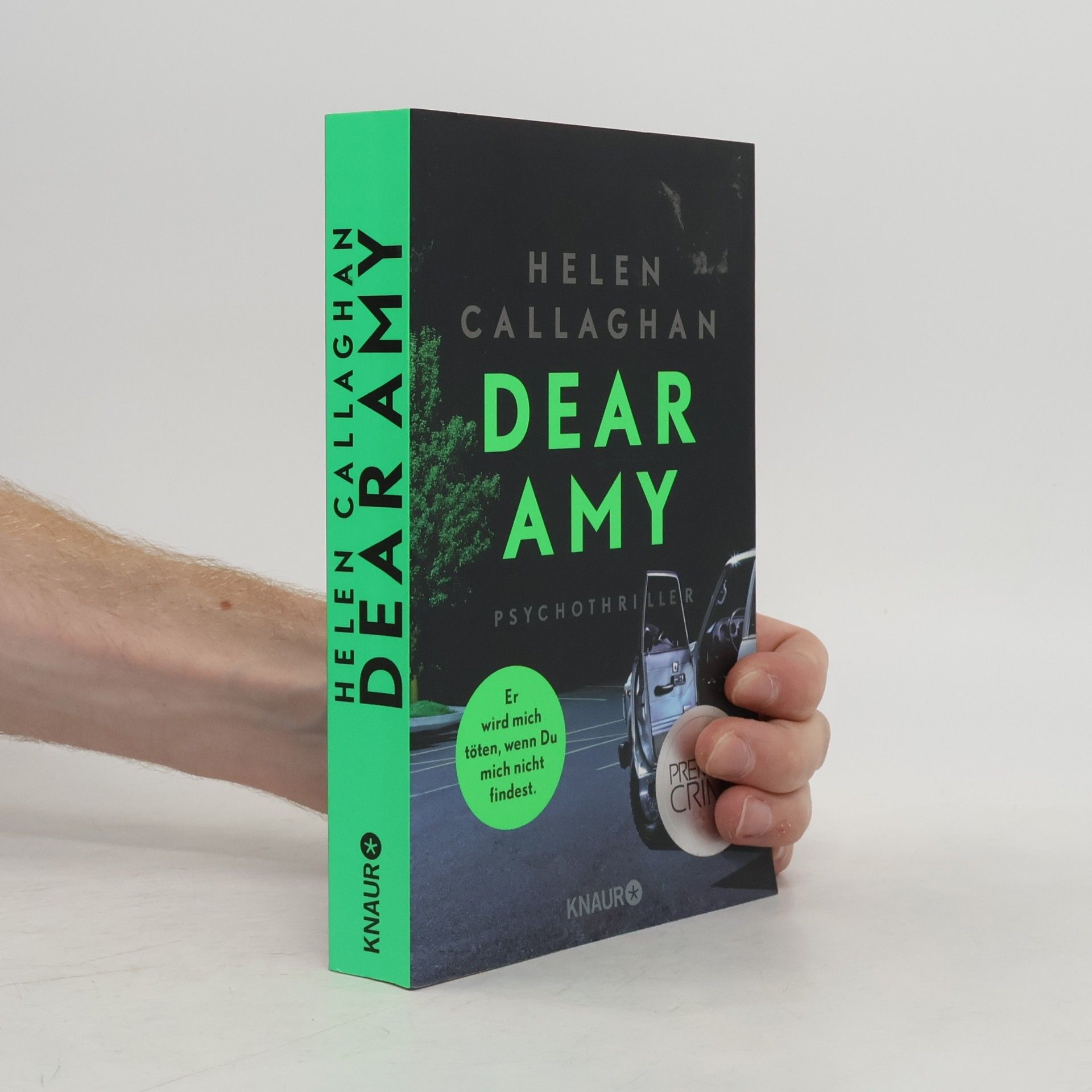 Helen Callaghan Dear Amy