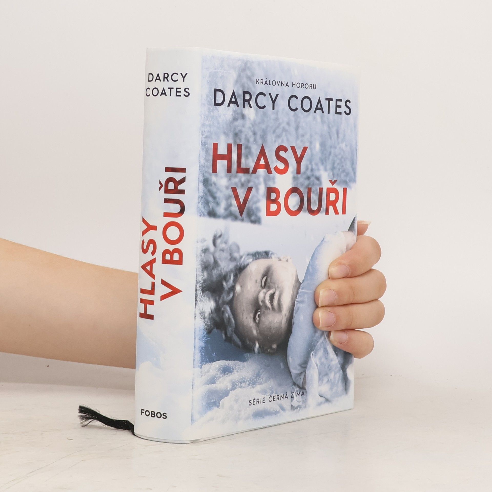 Darcy Coates Hlasy v bouři