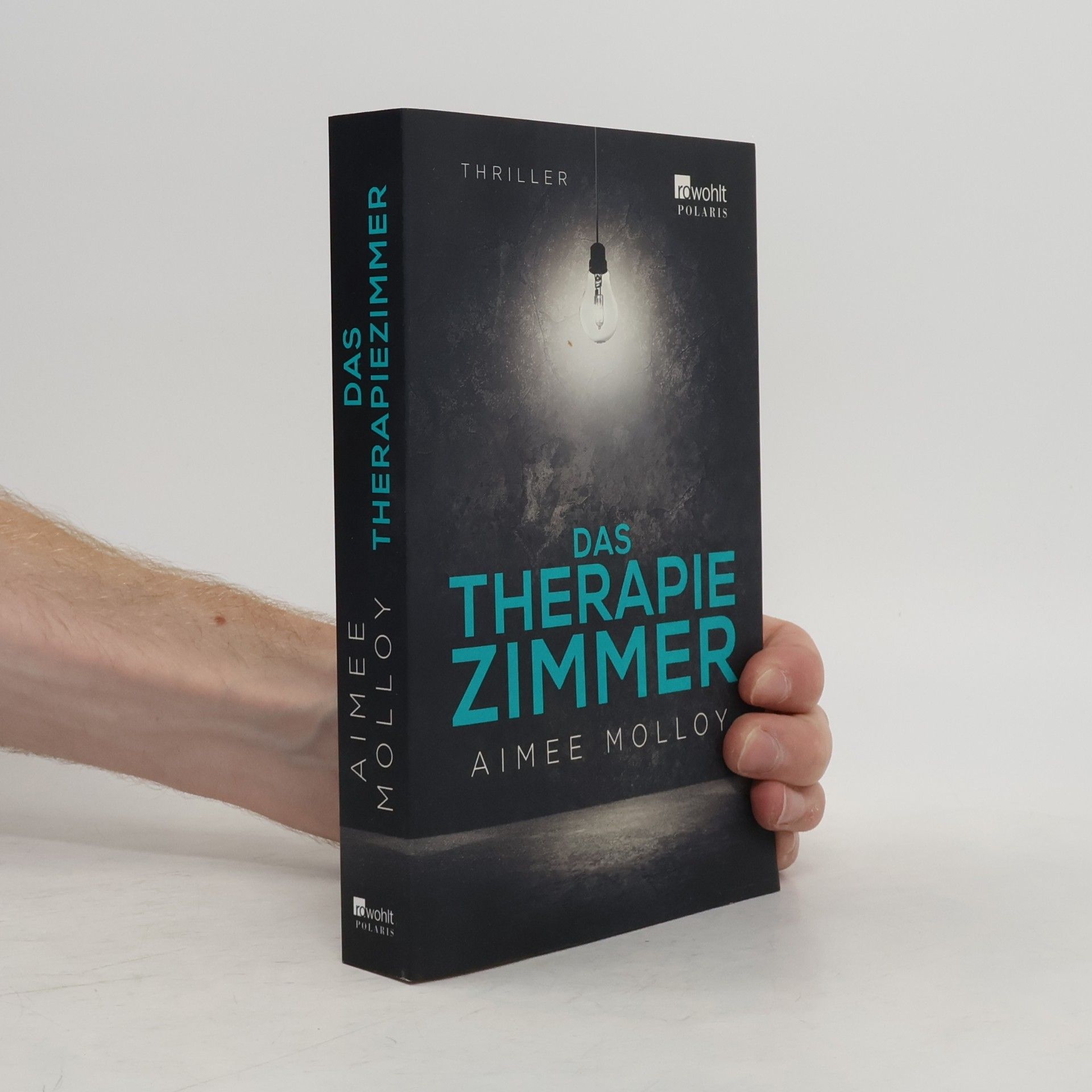 Aimee Molloy Das Therapiezimmer