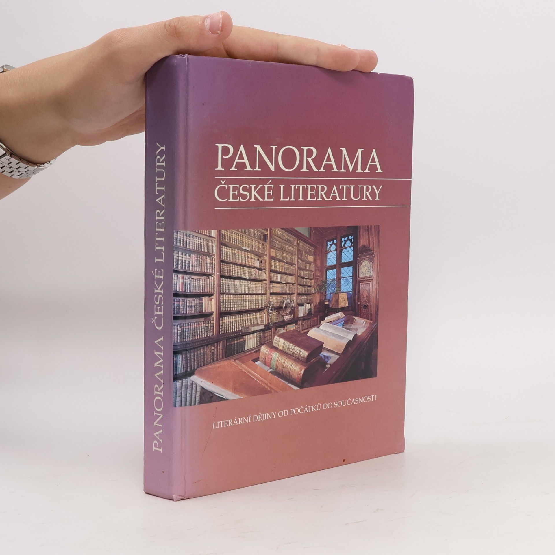 Josef Galík Panorama české literatury. Literární dějiny od počátků do současnosti
