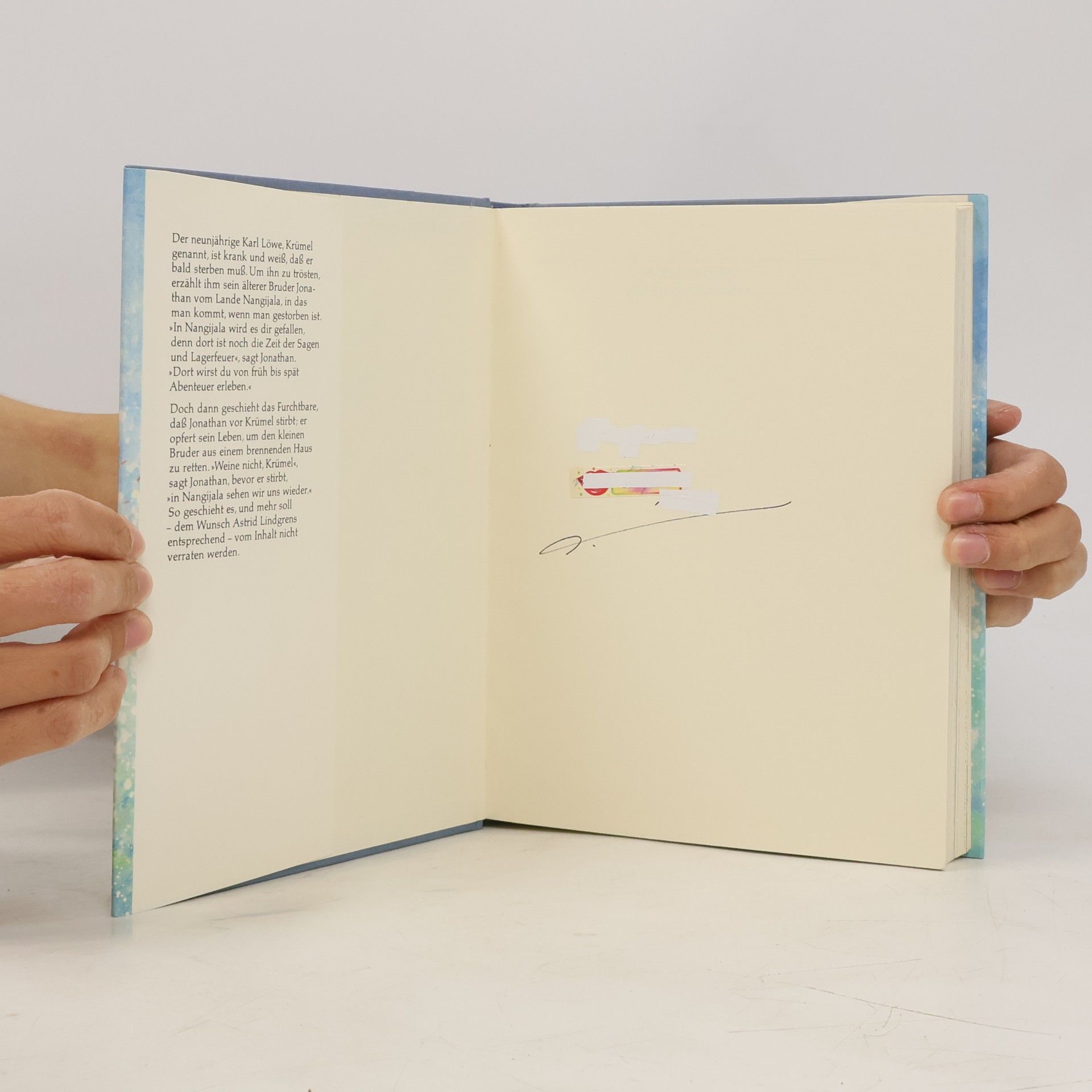 Astrid Lindgren Die Brüder Löwenherz