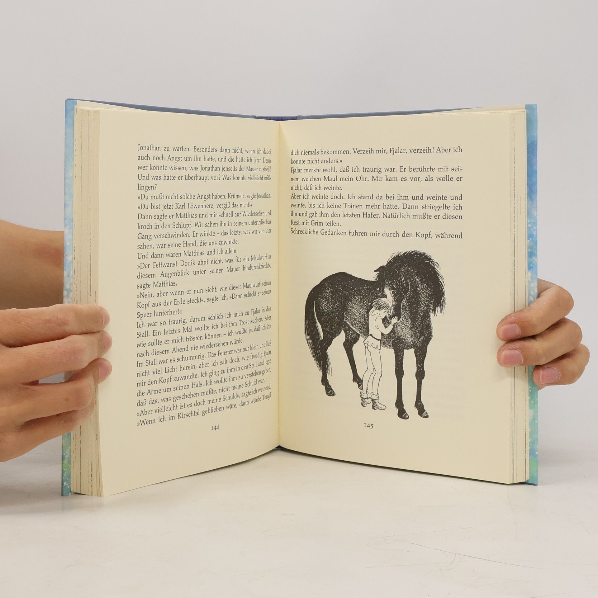 Astrid Lindgren Die Brüder Löwenherz