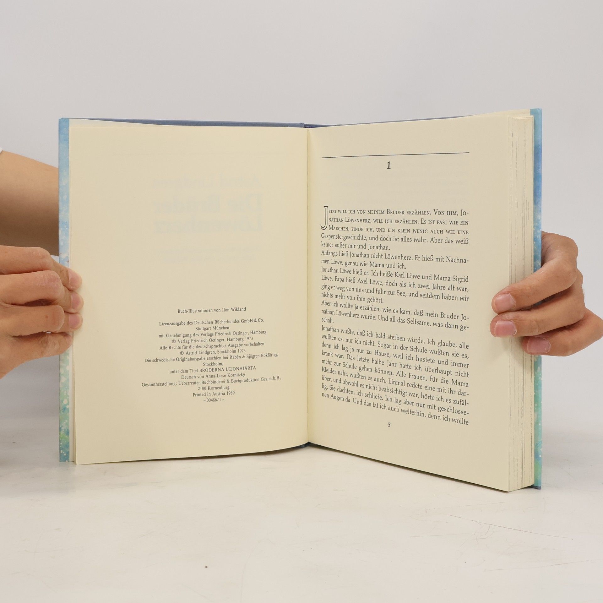 Astrid Lindgren Die Brüder Löwenherz