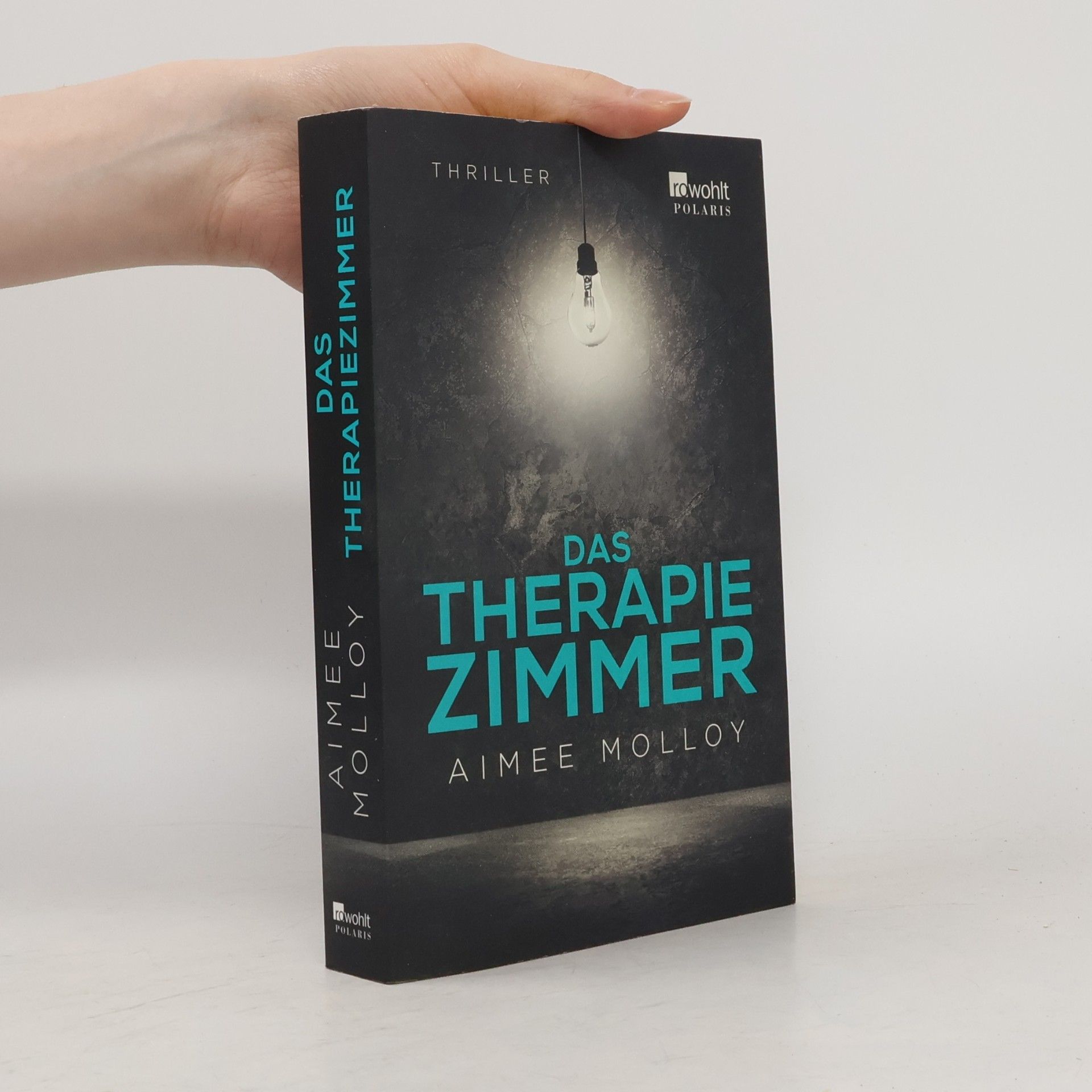 Aimee Molloy Das Therapiezimmer