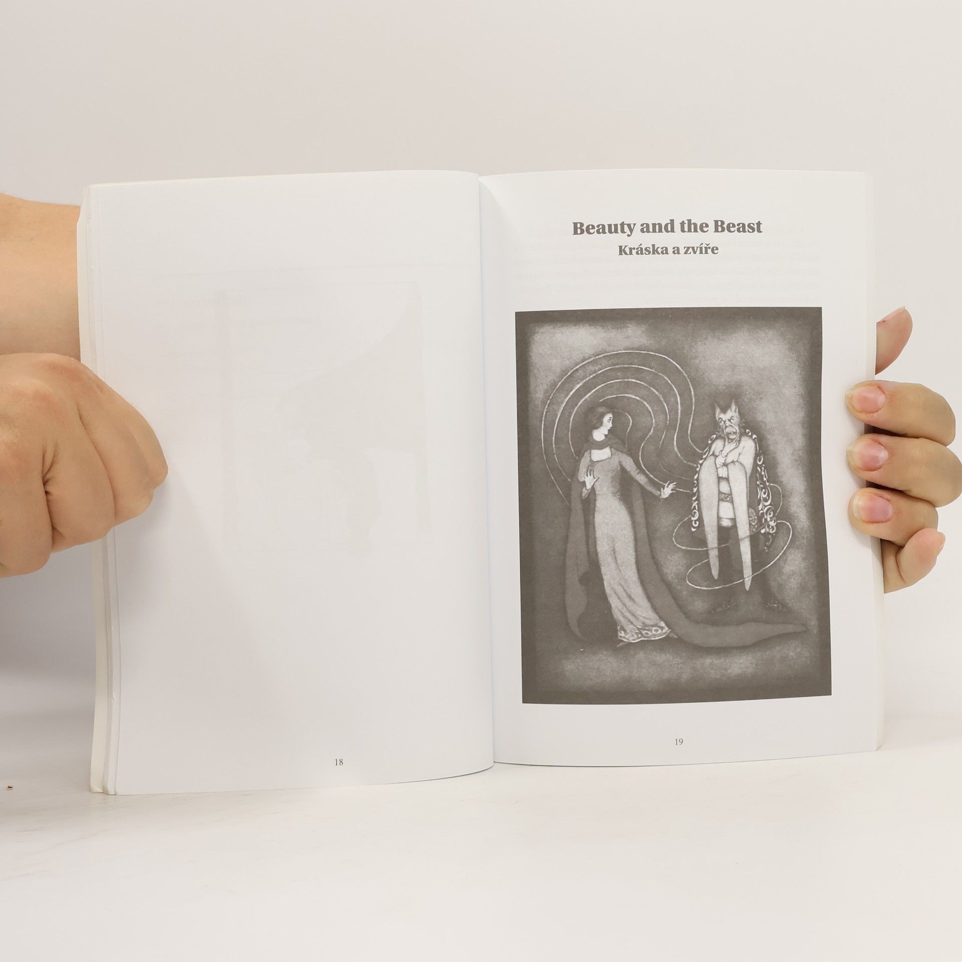 Autorenkollektiv Červená Karkulka a další známé pohádky | Little Red Riding Hood and Other Famous Fairy Tales