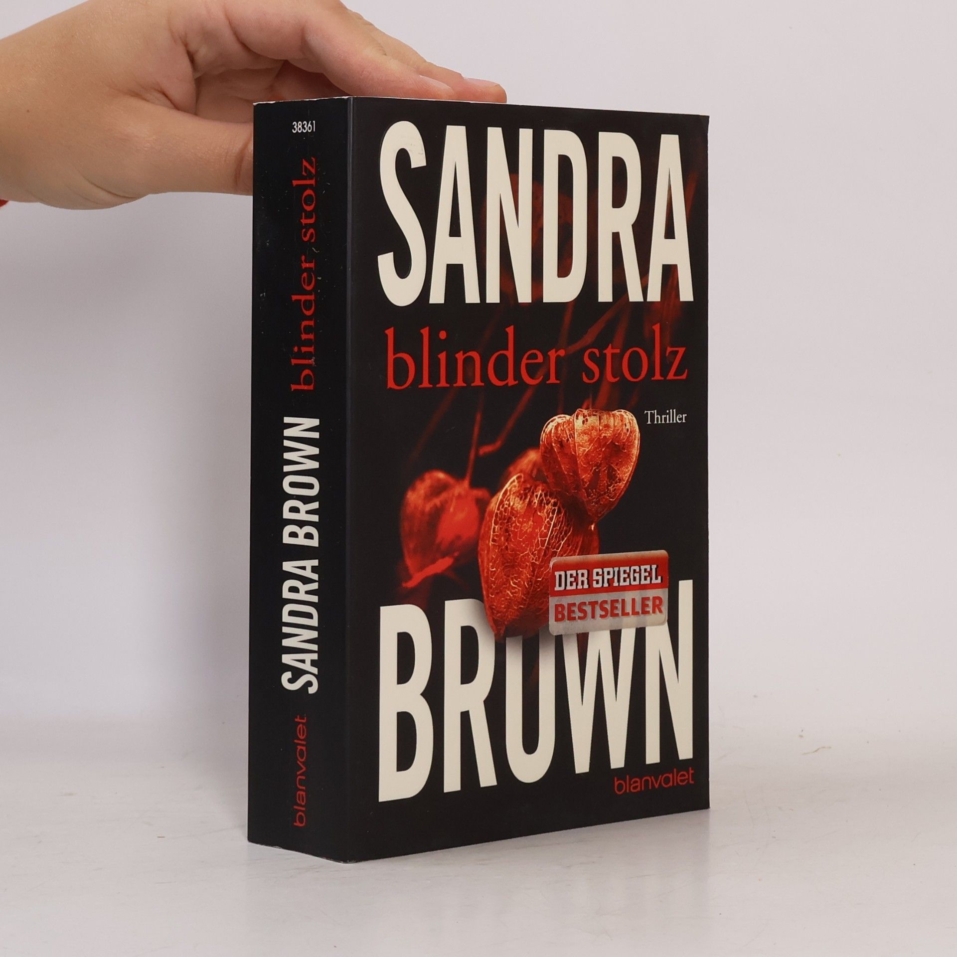Sandra Brown Blinder Stolz