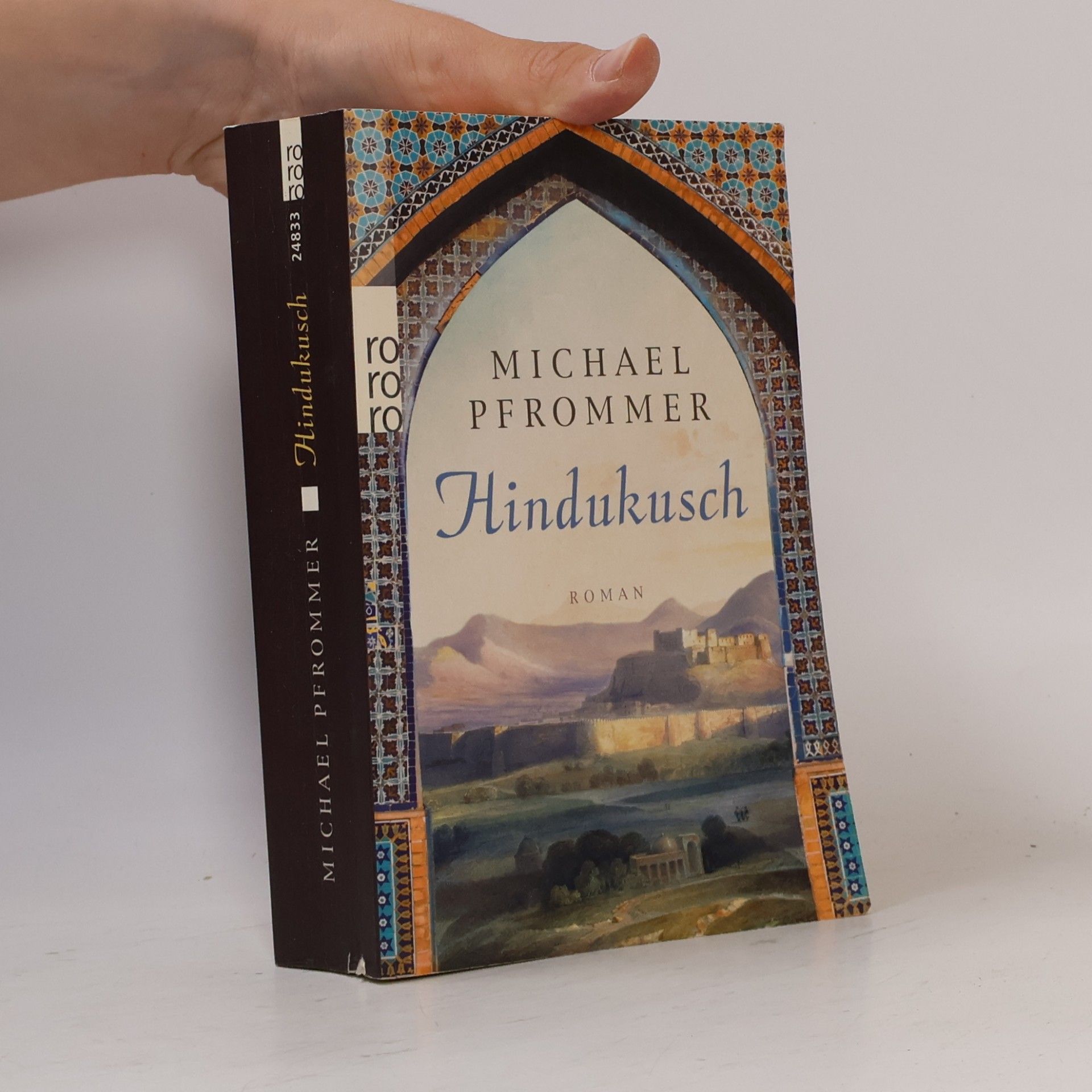 Michael Pfrommer Hindukusch