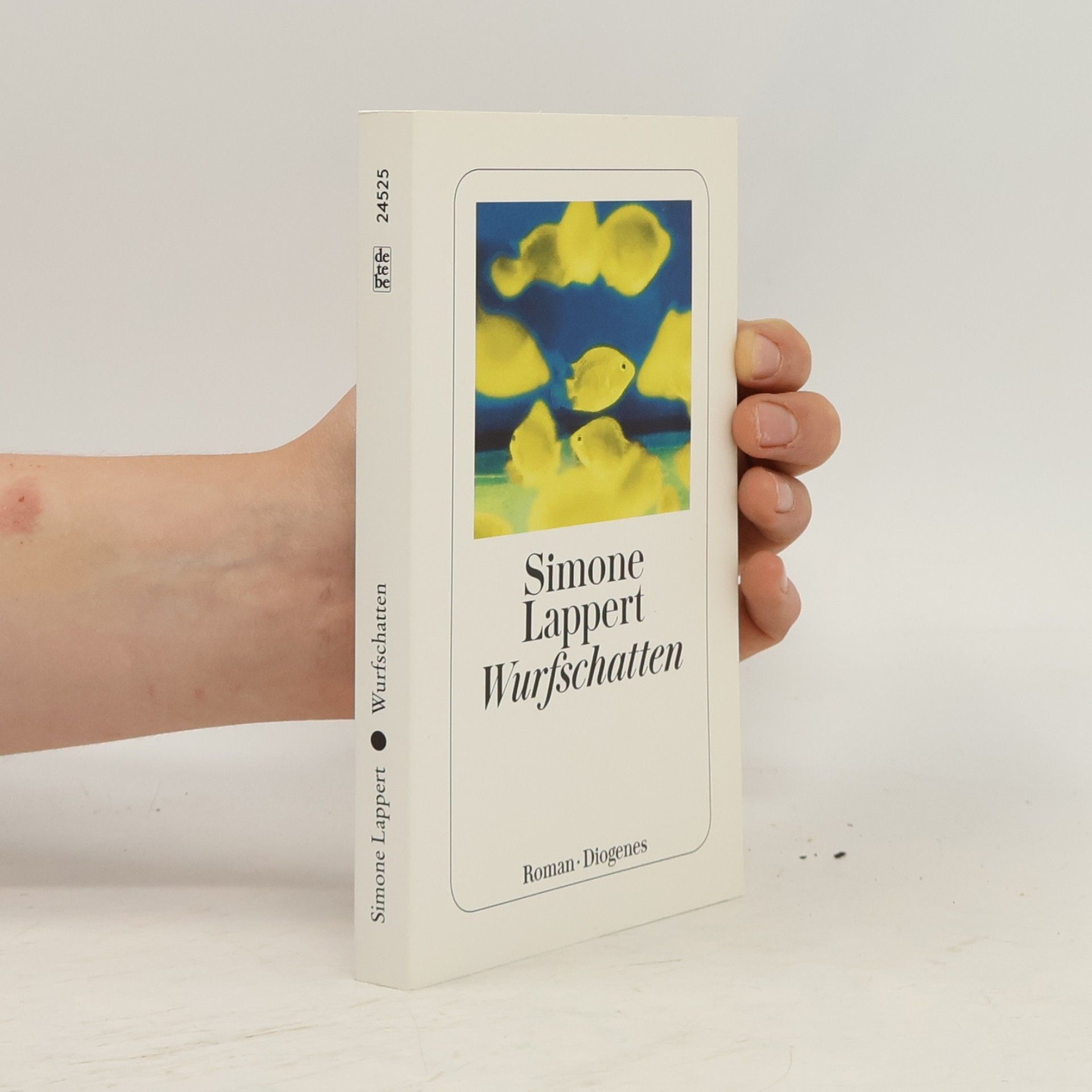 Simone Lappert Wurfschatten