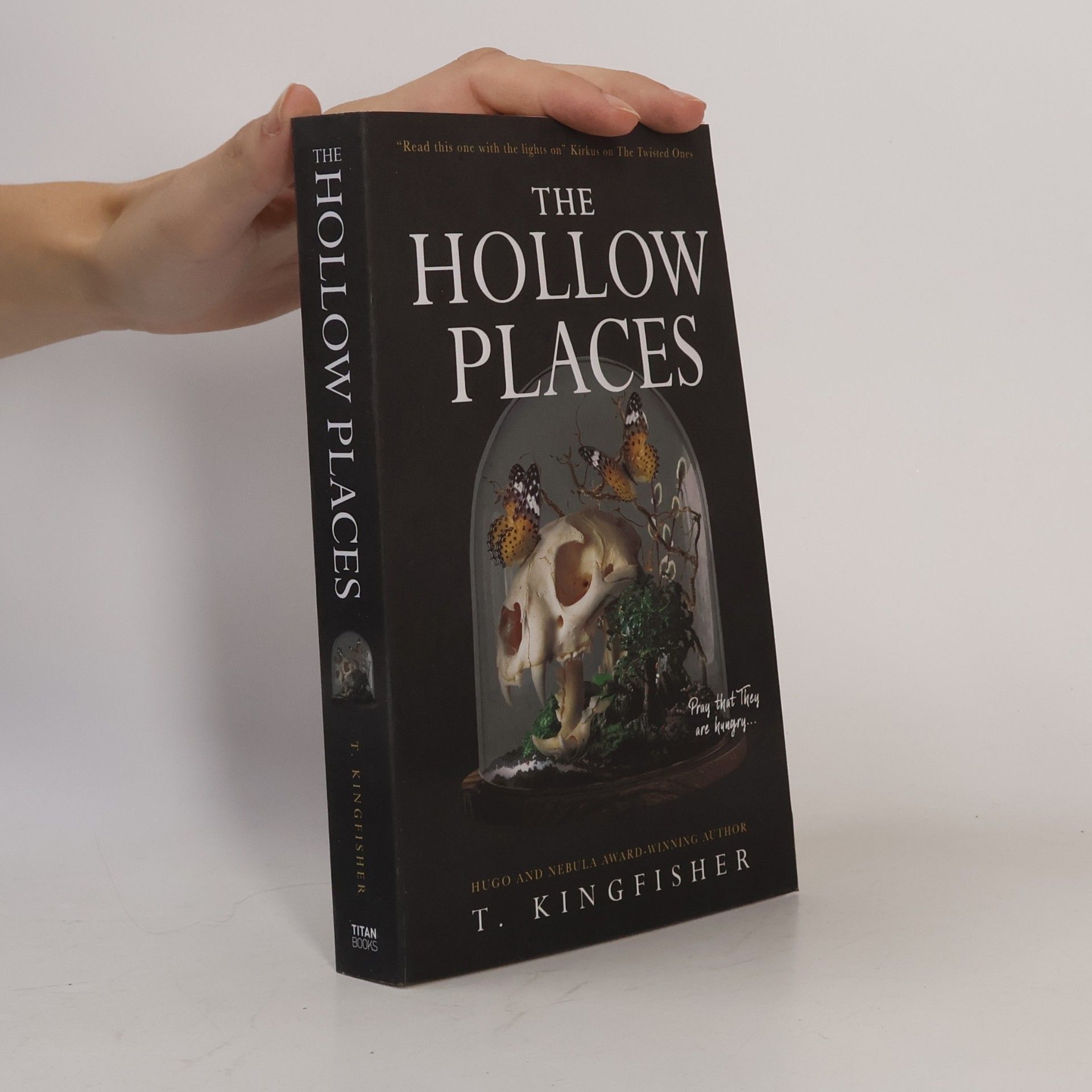 T. Kingfisher The Hollow Places