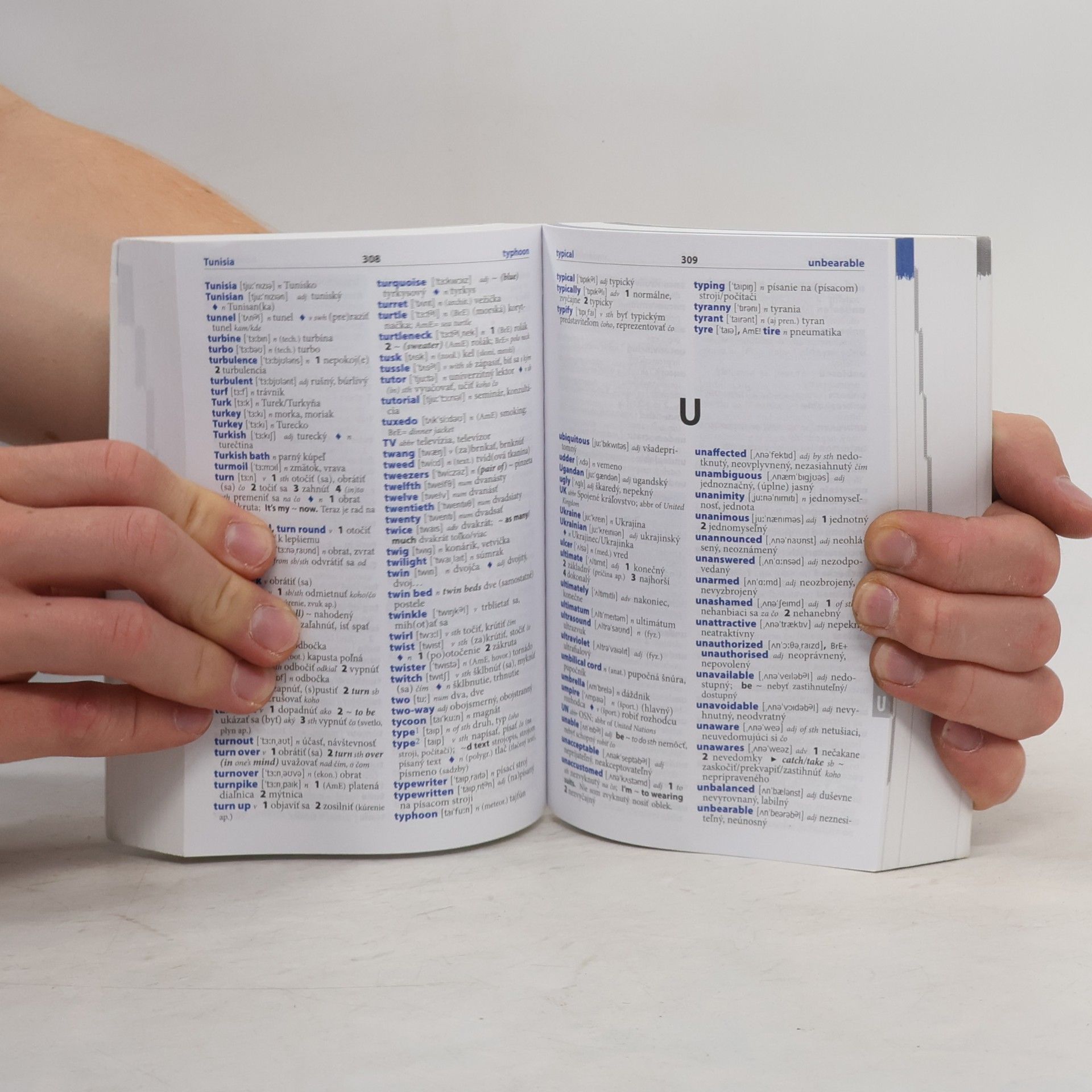 Autorenkollektiv Šikovný slovnik anglicko-slovenský, slovensko-anglický