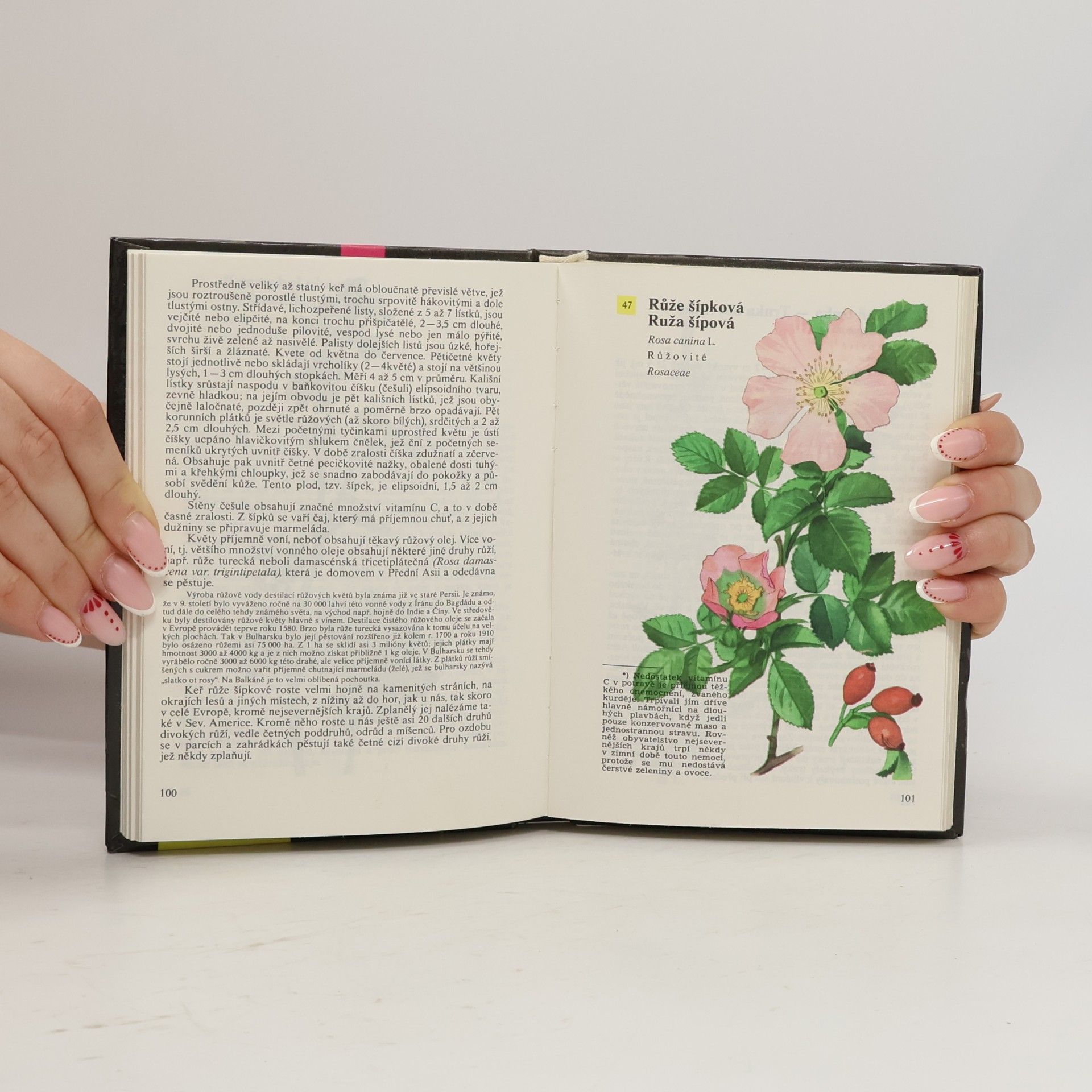 Albert Pilát Kapesní atlas rostlin