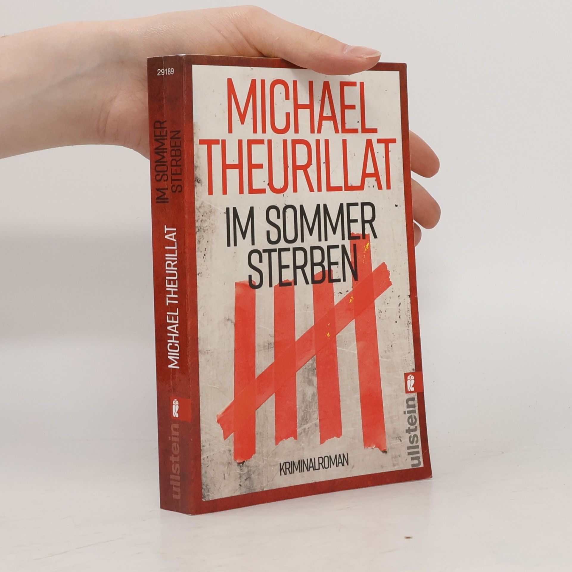 Michael Theurillat Im Sommer sterben
