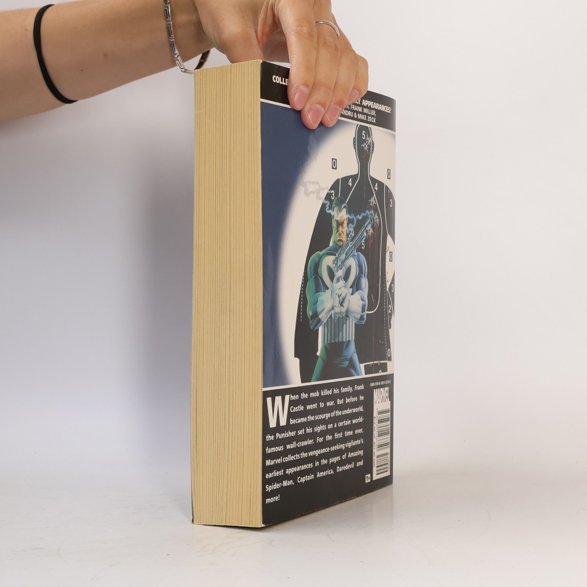 Autorenkollektiv Marvel Essential. The Punisher