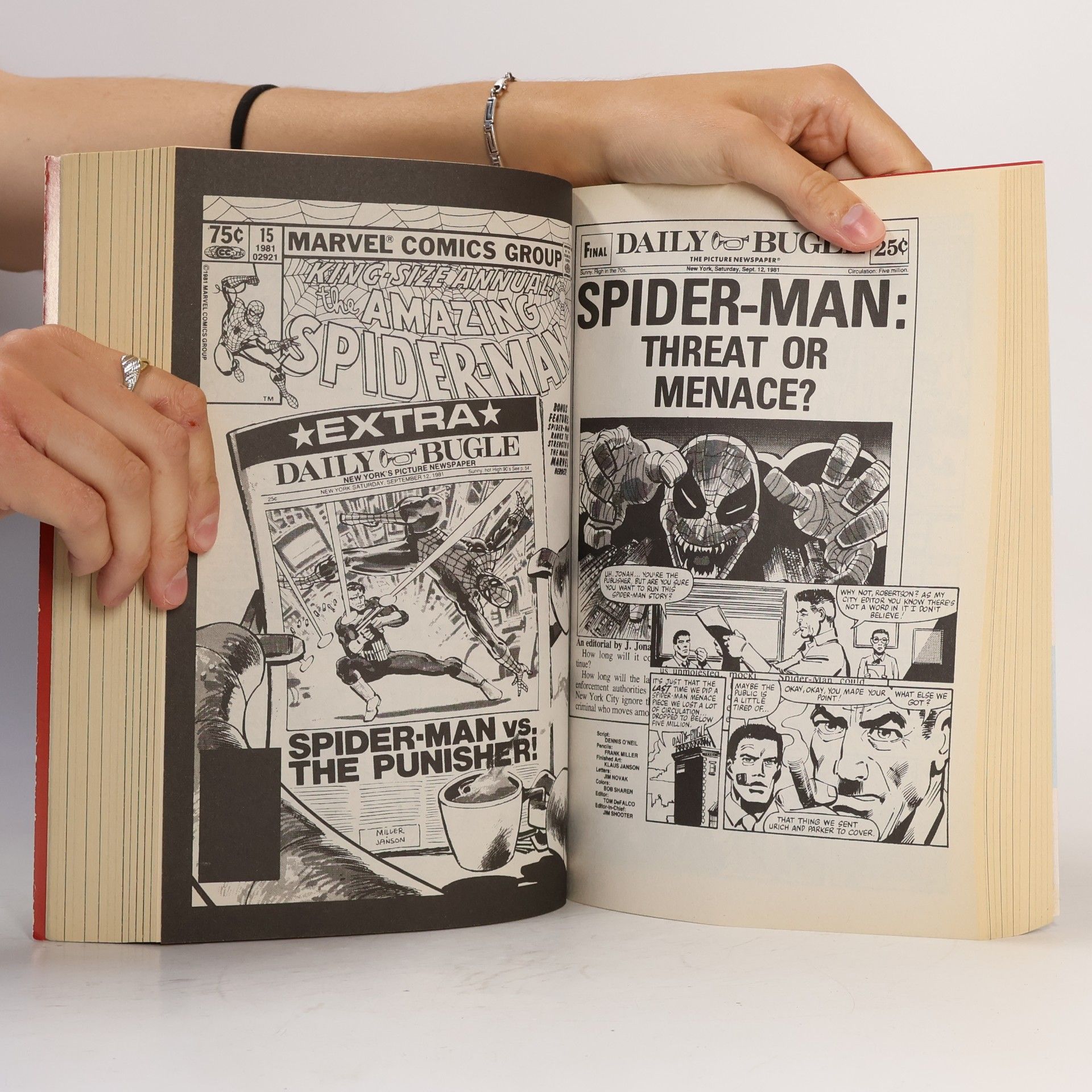 Autorenkollektiv Marvel Essential. The Punisher