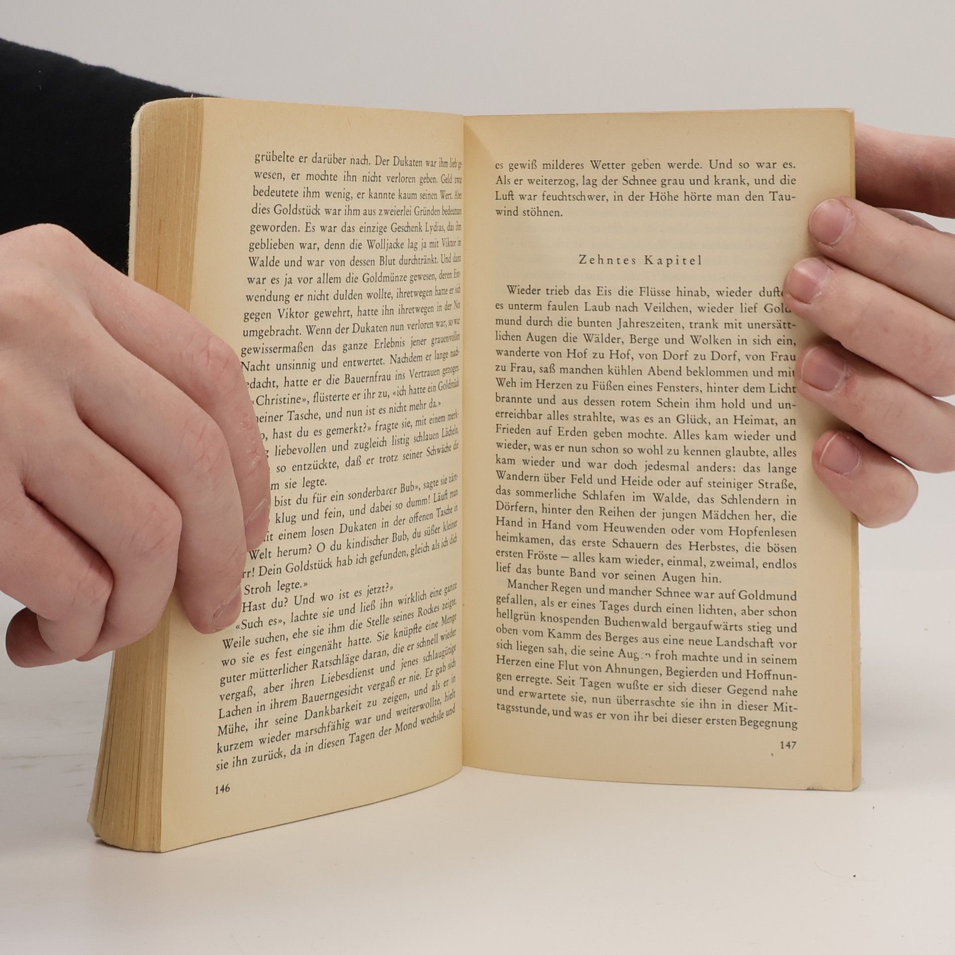 Hermann Hesse Narziß und Goldmund