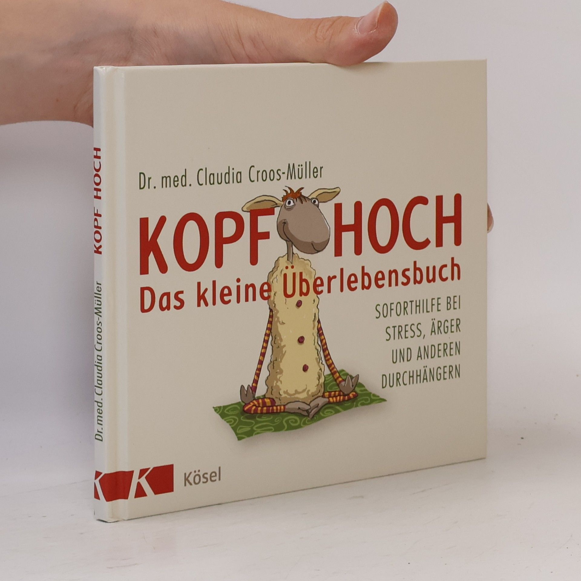 Kopf hoch - das kleine Überlebensbuch