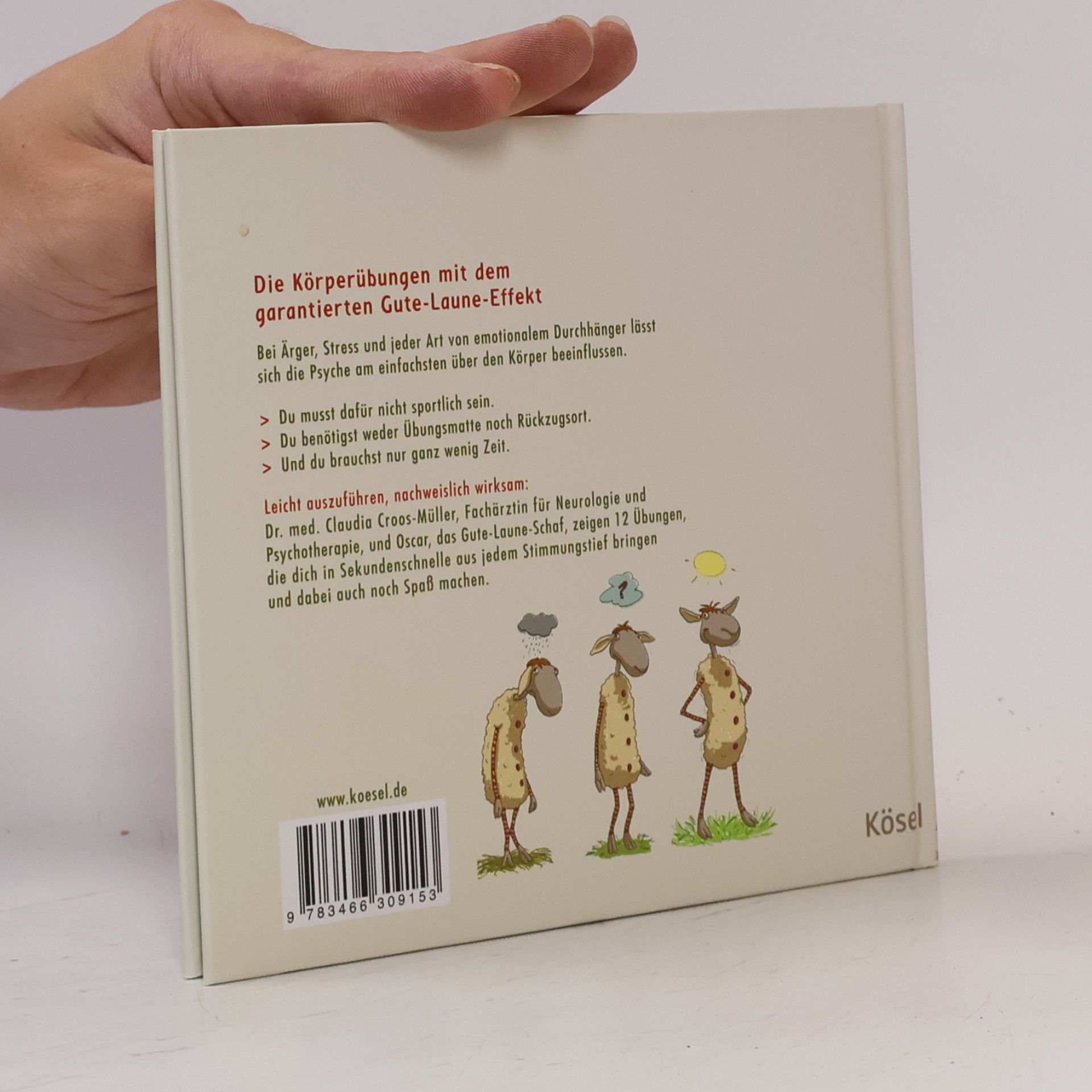 Claudia Croos-Müller Kopf hoch - das kleine Überlebensbuch