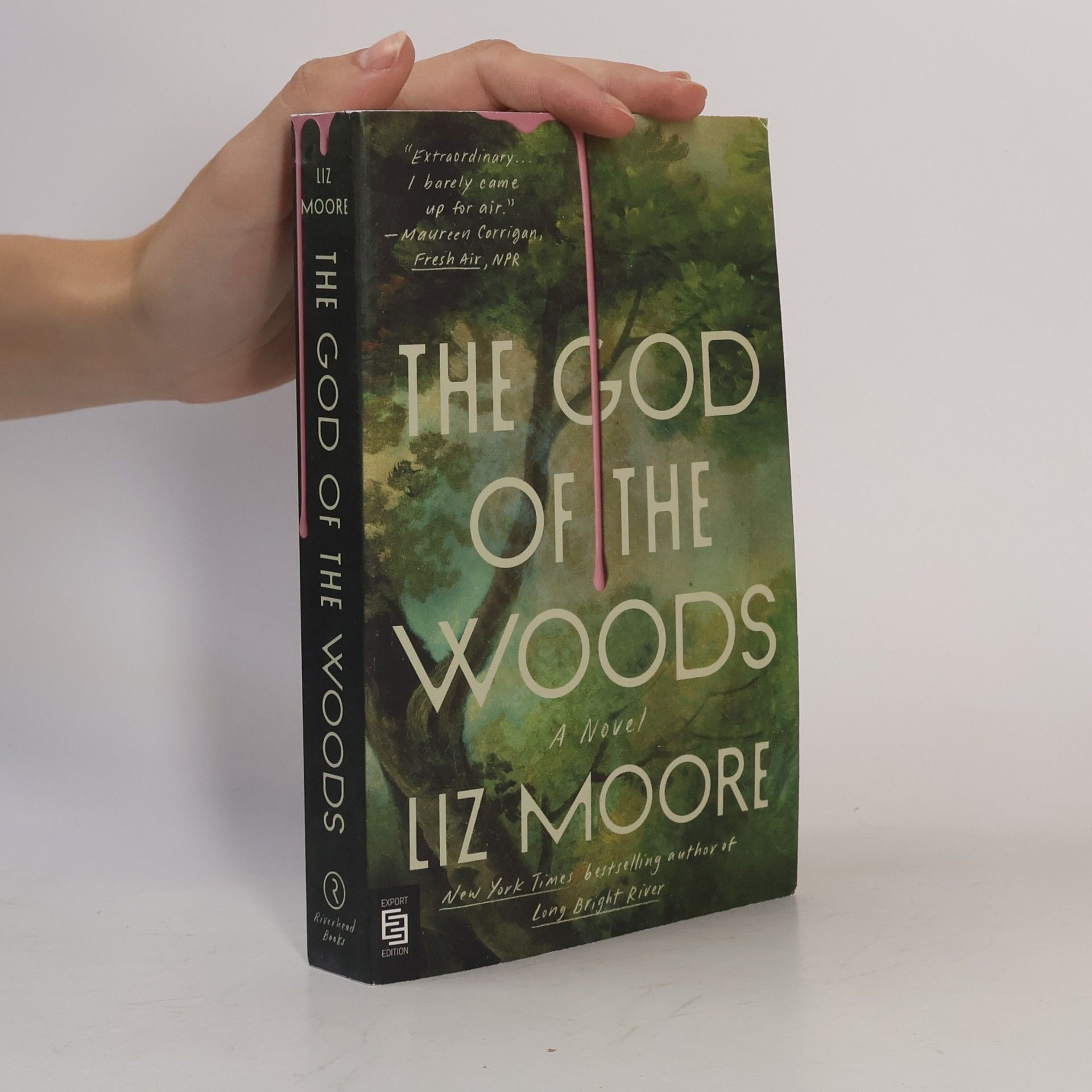 Liz Moore The God of the Woods