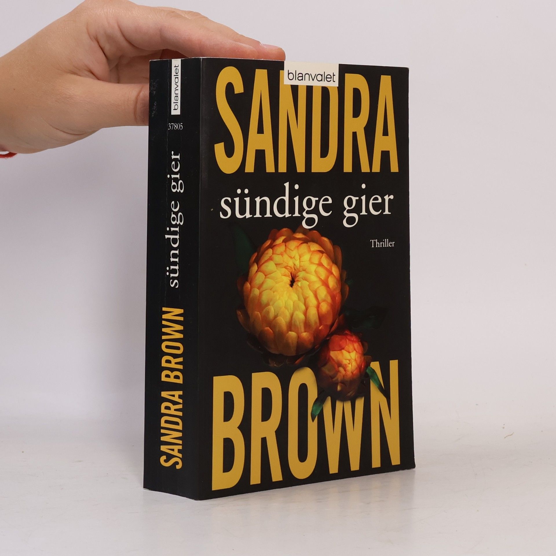 Sandra Brown Sündige Gier