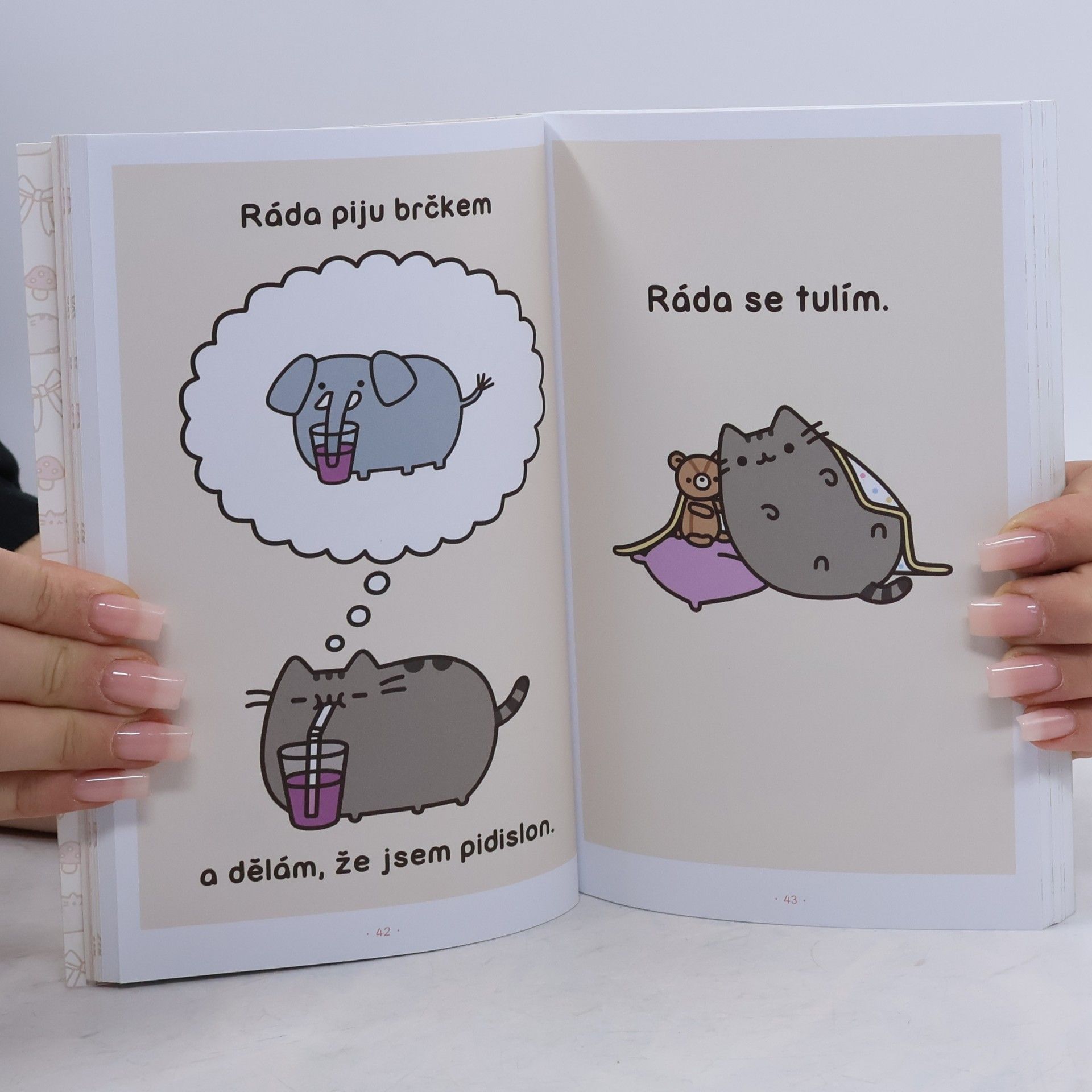 Claire Belton Pusheen. Já, košišta