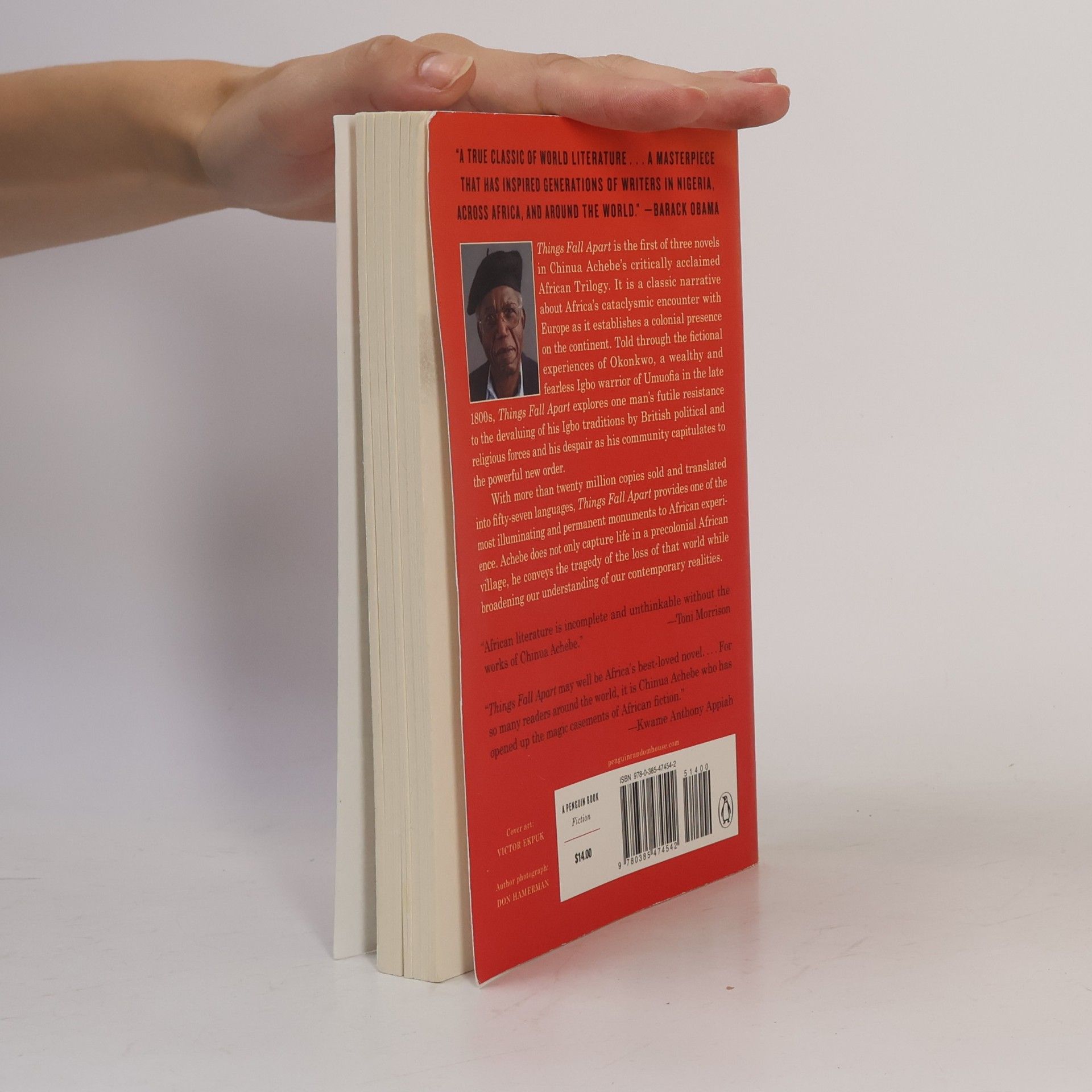 Chinua Achebe Things fall apart