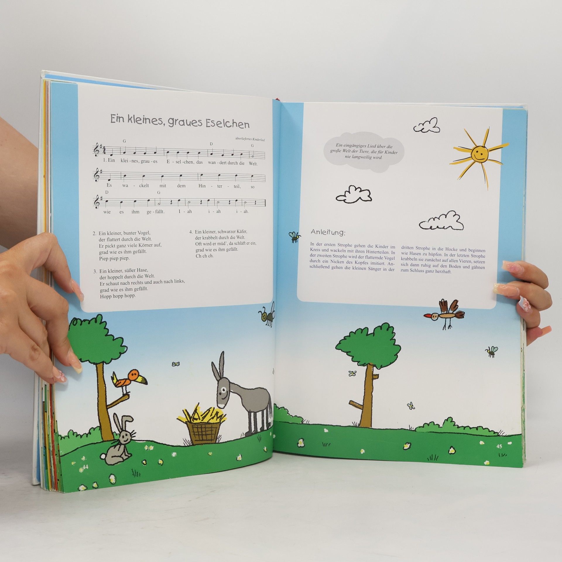 Marco Sumfleth Das Spiel- und Bewegungsliederbuch. Die 100 besten Spiel- und Bewegungslieder