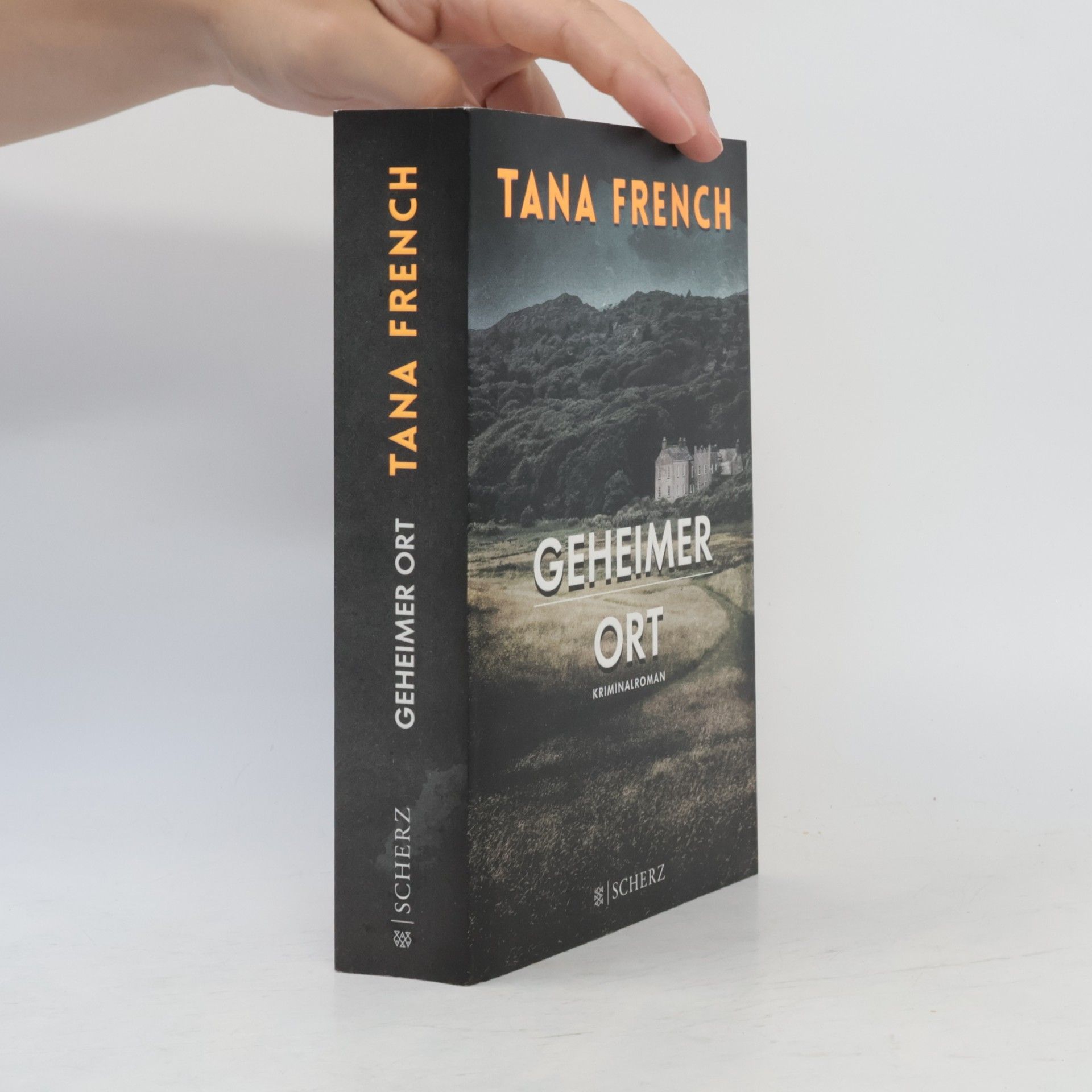 Tana French Geheimer Ort