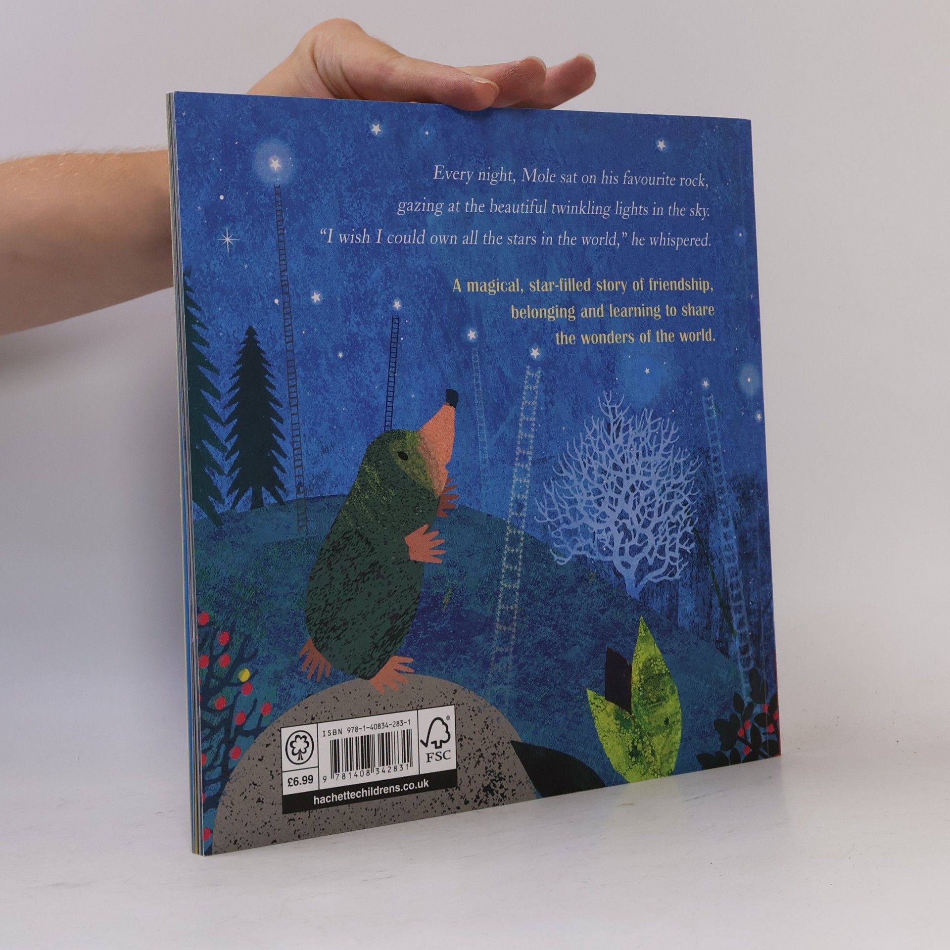 Britta Teckentrup Mole's Star