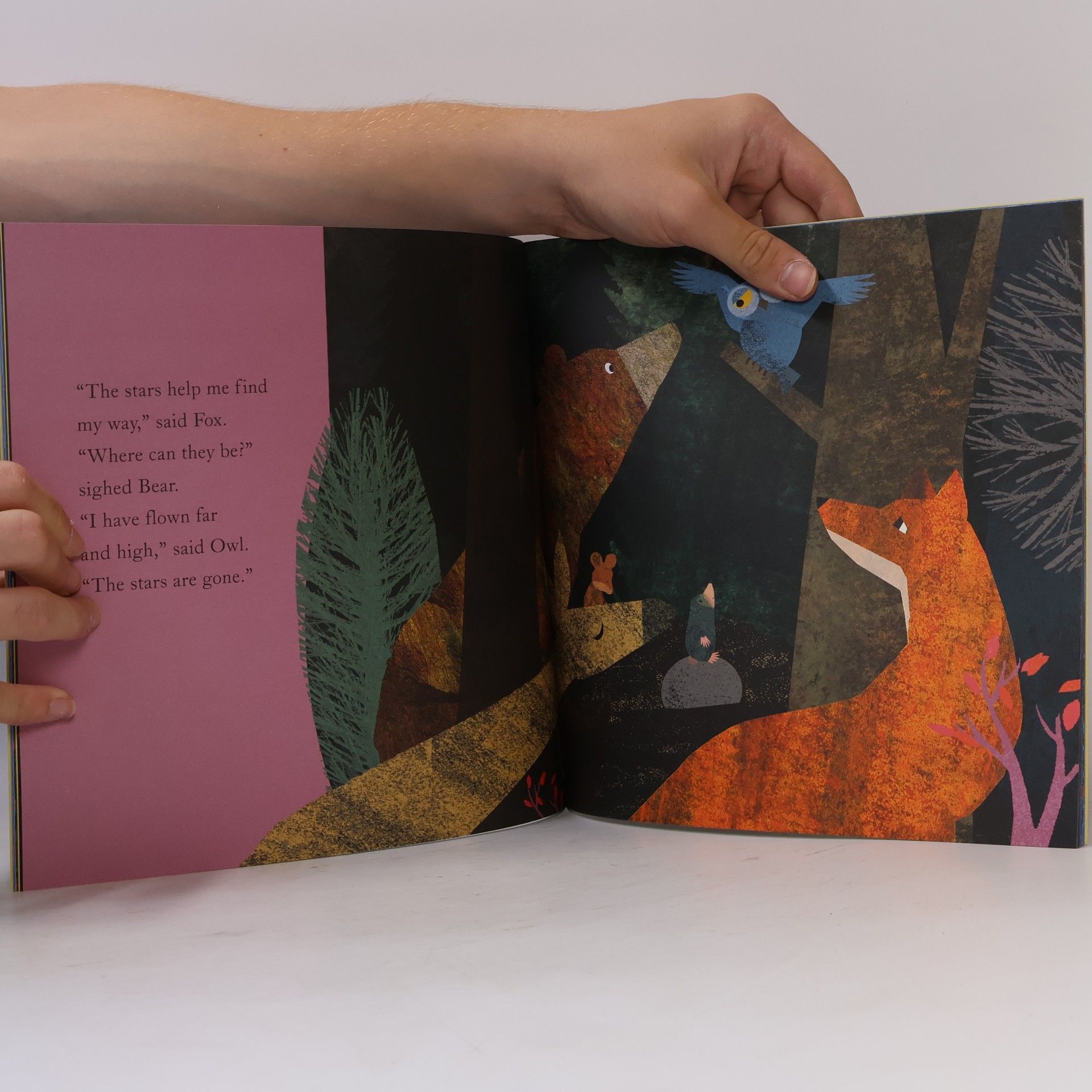 Britta Teckentrup Mole's Star