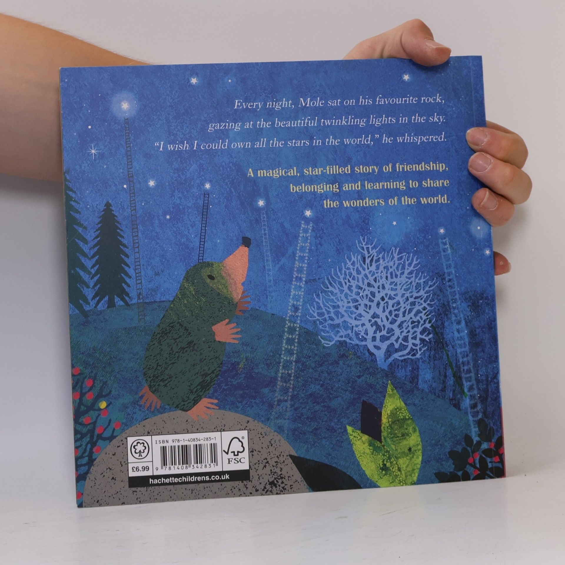 Britta Teckentrup Mole's Star