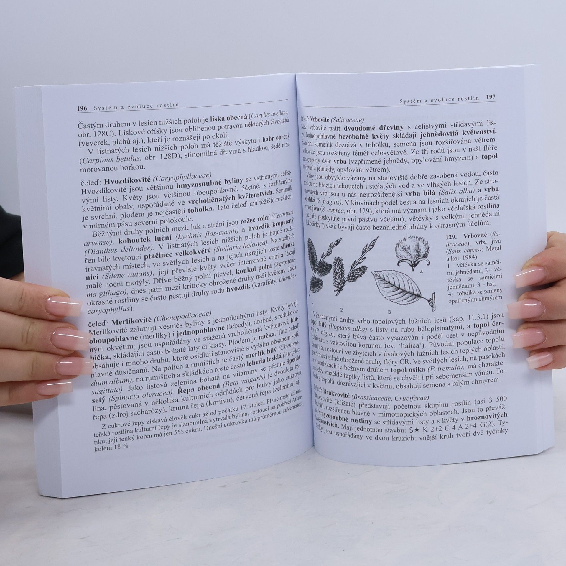 Lubomír Kincl Biologie rostlin: Pro 1. ročník gymnázií
