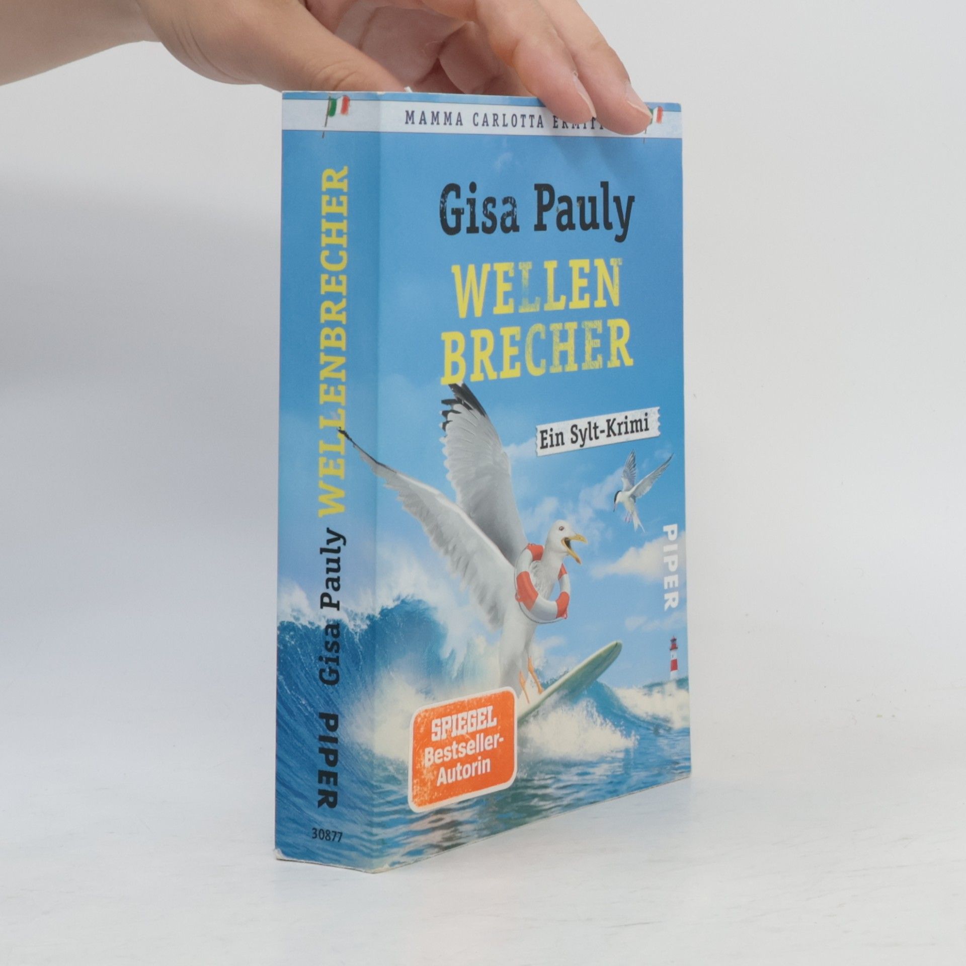 Gisa Pauly Wellenbrecher