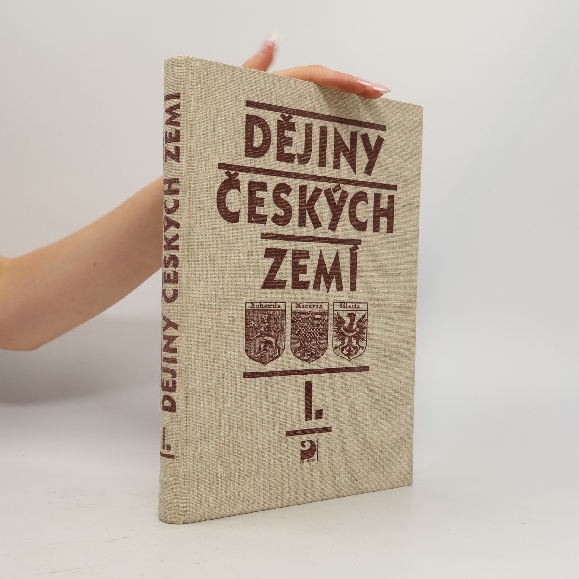 Various authors Dějiny českých zemí I