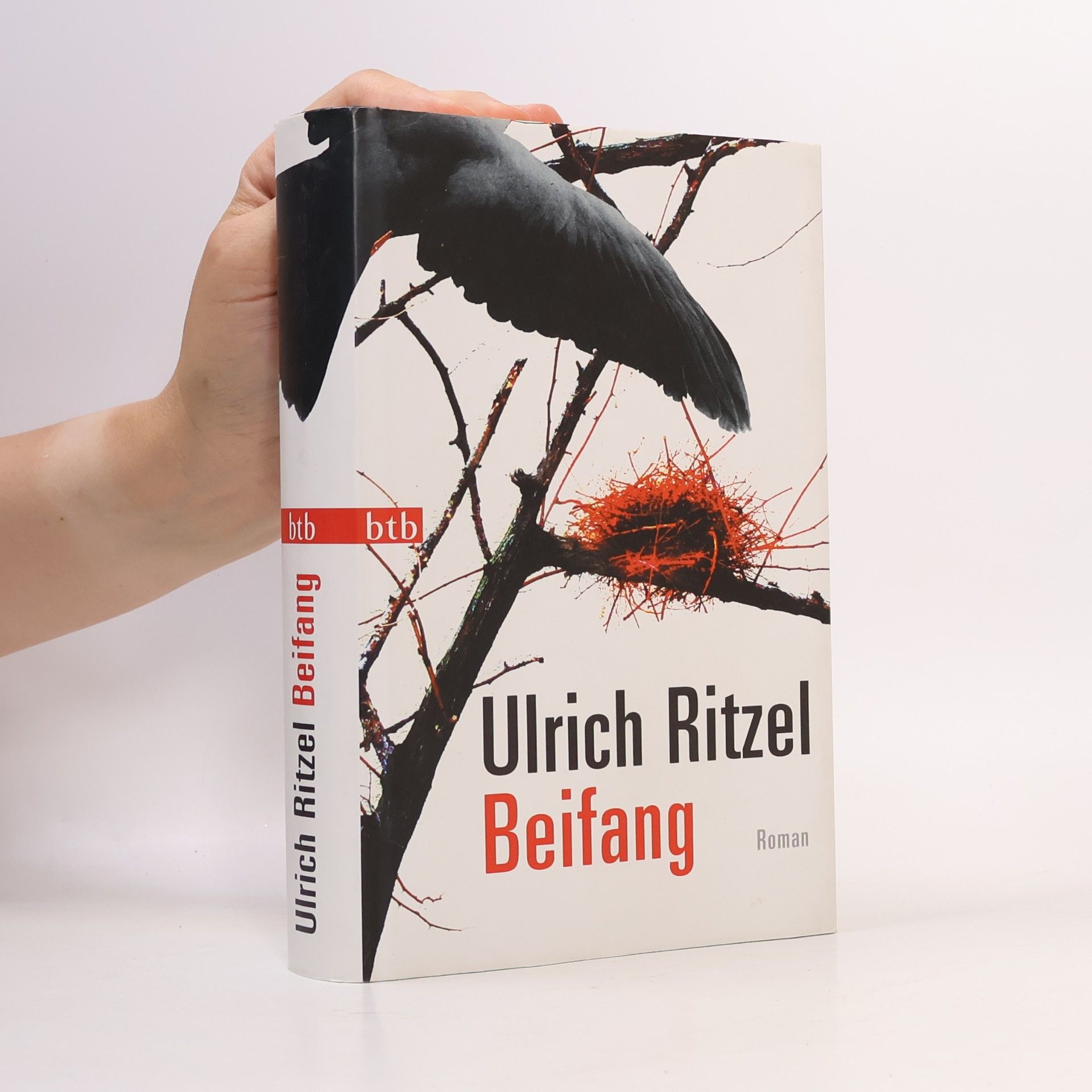 Beifang
