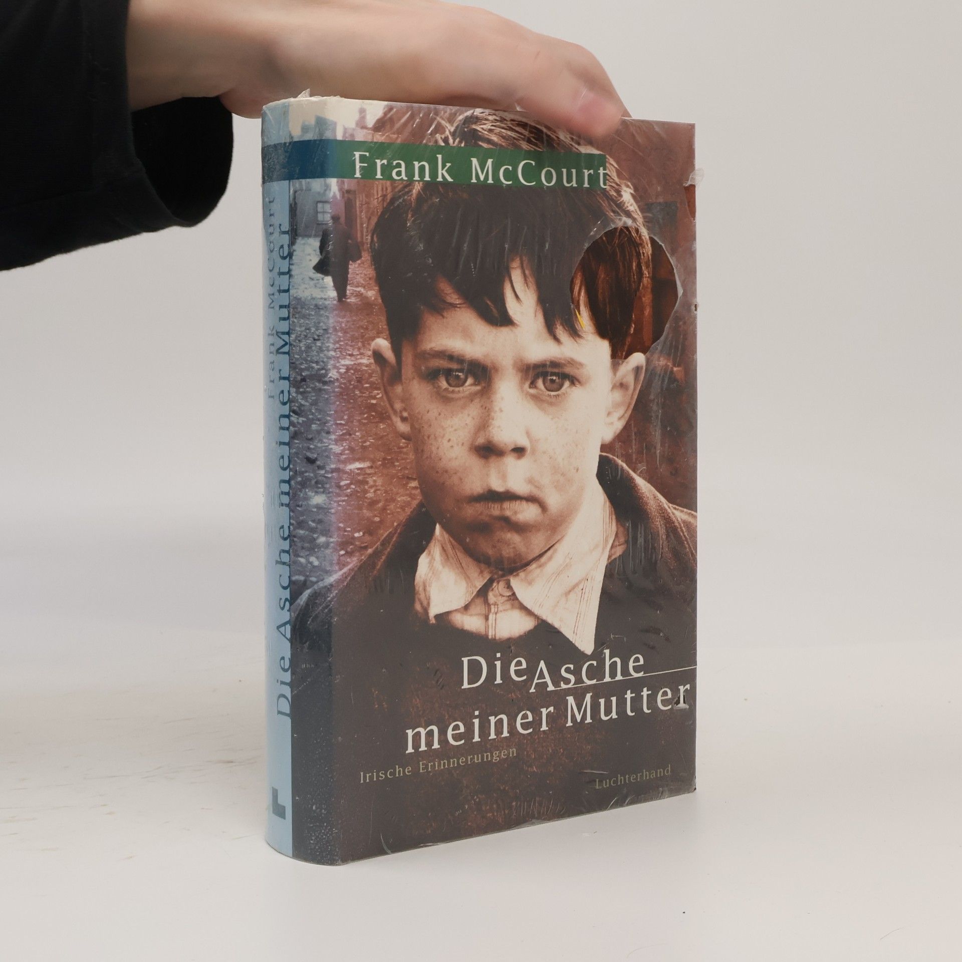 Frank McCourt Die Asche meiner Mutter
