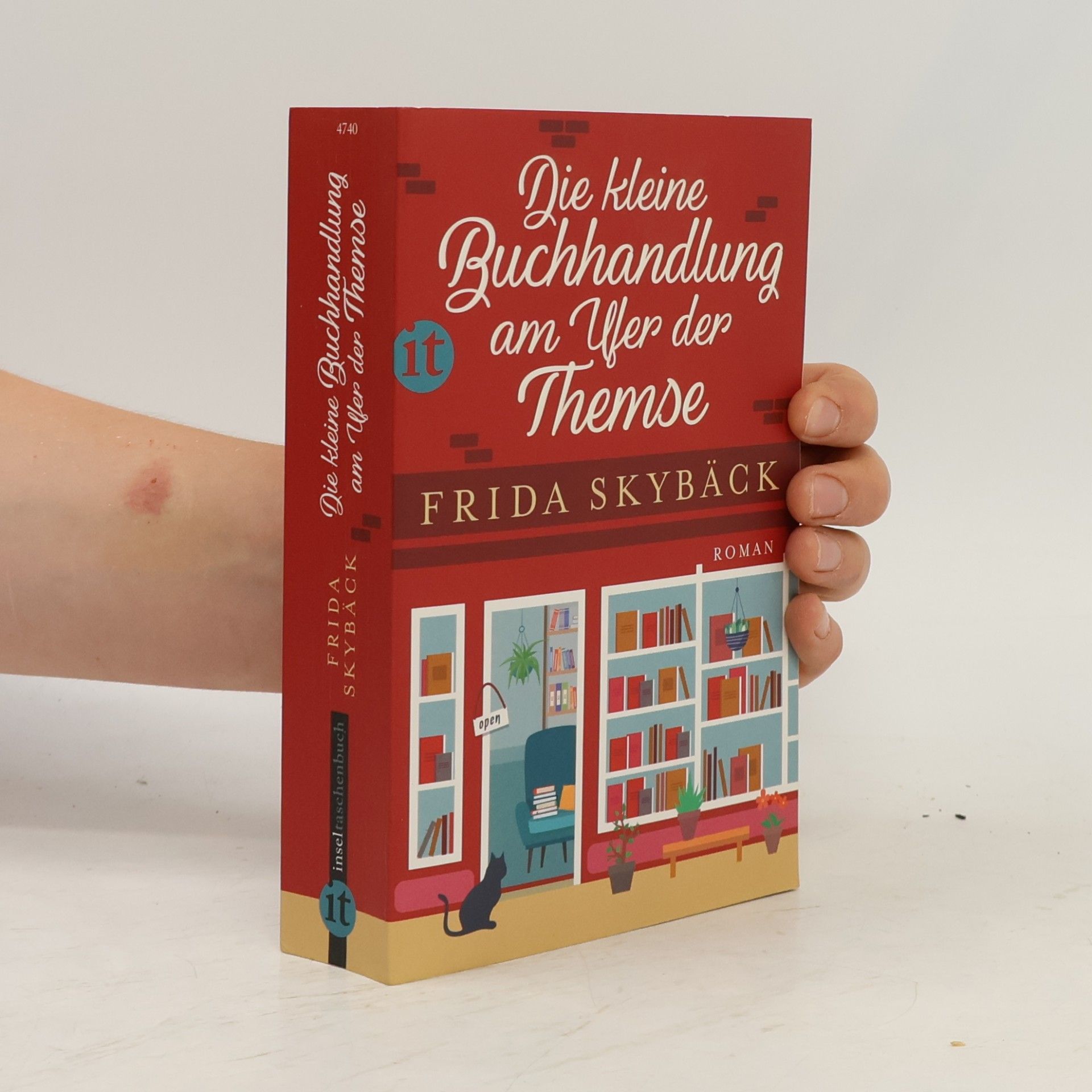 Frida Skybäck Die kleine Buchhandlung am Ufer der Themse