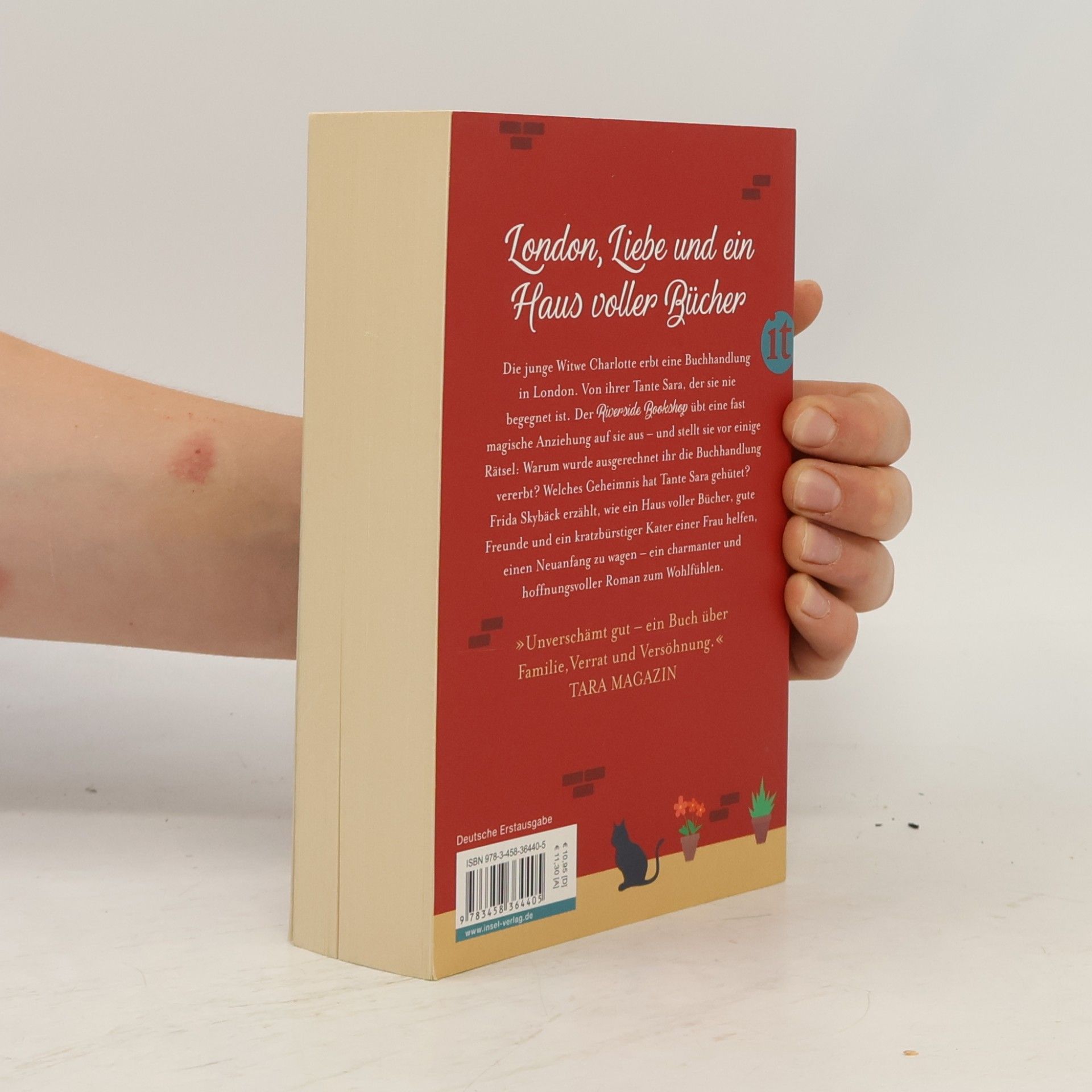 Frida Skybäck Die kleine Buchhandlung am Ufer der Themse
