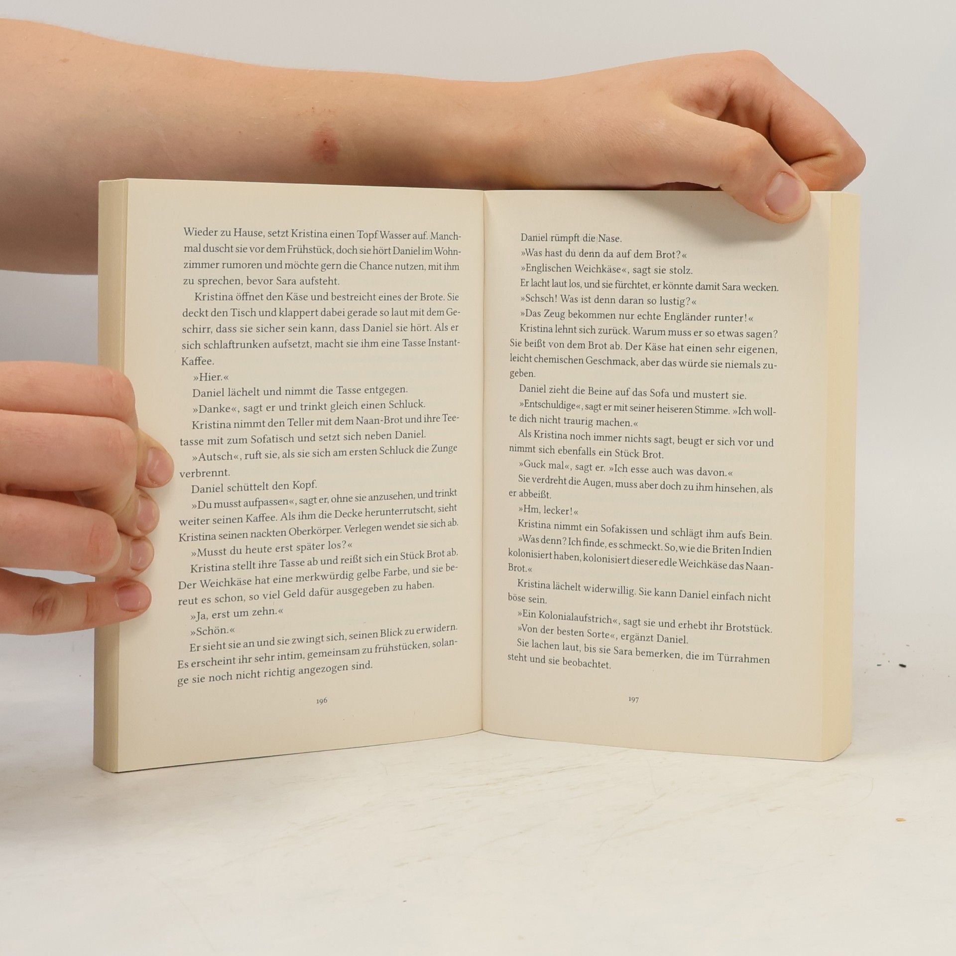 Frida Skybäck Die kleine Buchhandlung am Ufer der Themse