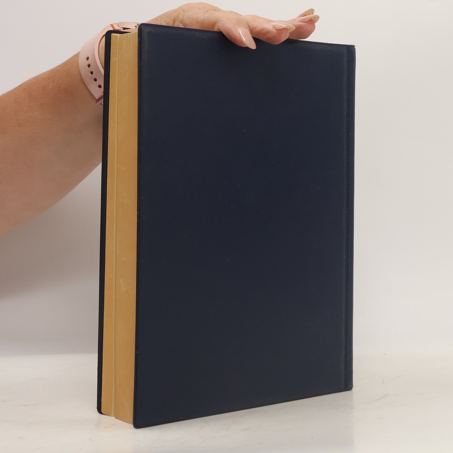 H. Wernicke Dictionary of Electronics, Communications and Electrical Engineering I.