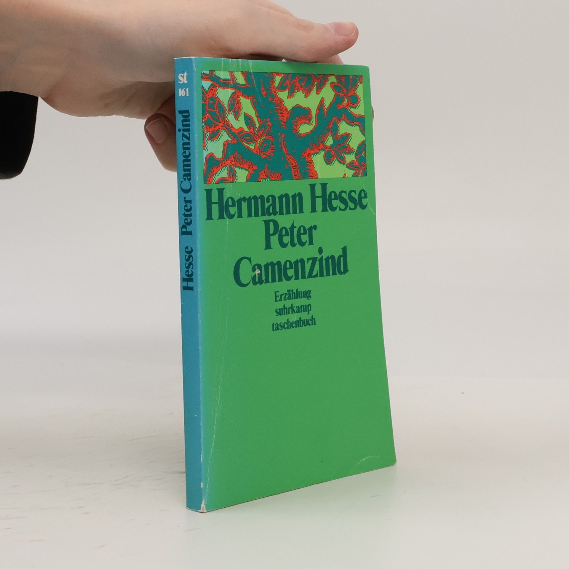 Peter Camenzind