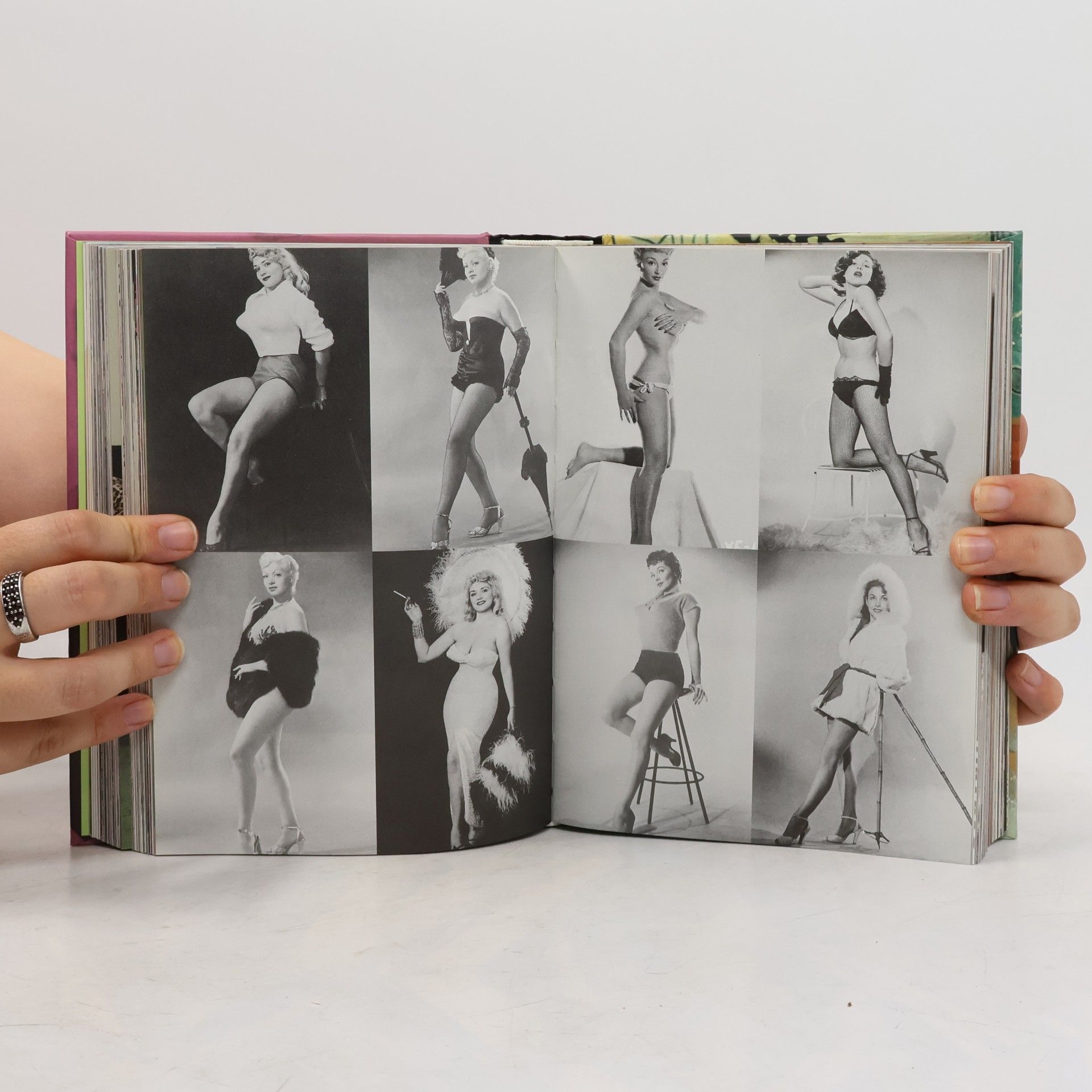 Mark Rotenberg 1000 Forbidden Pictures