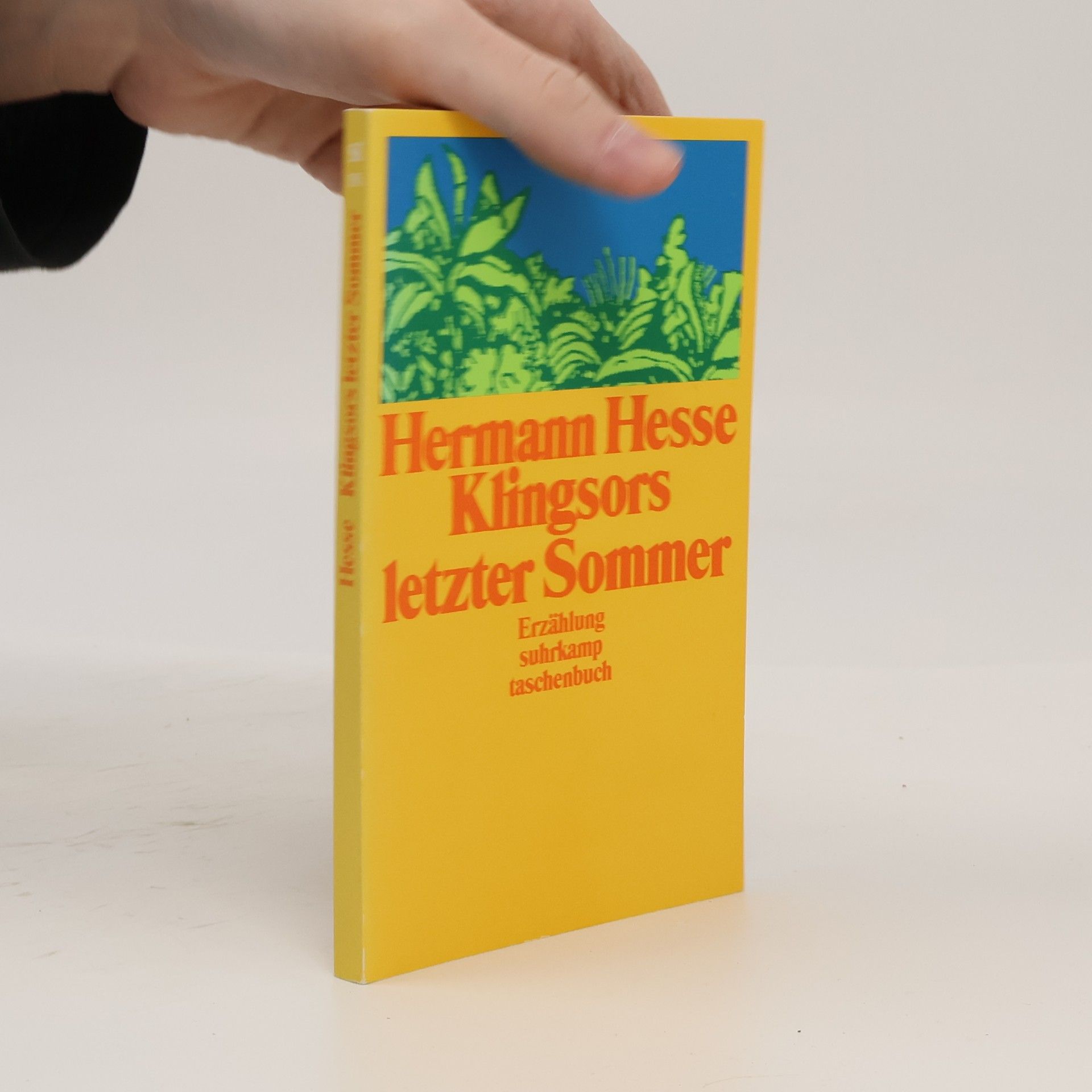 Hermann Hesse Klingsors letzter Sommer