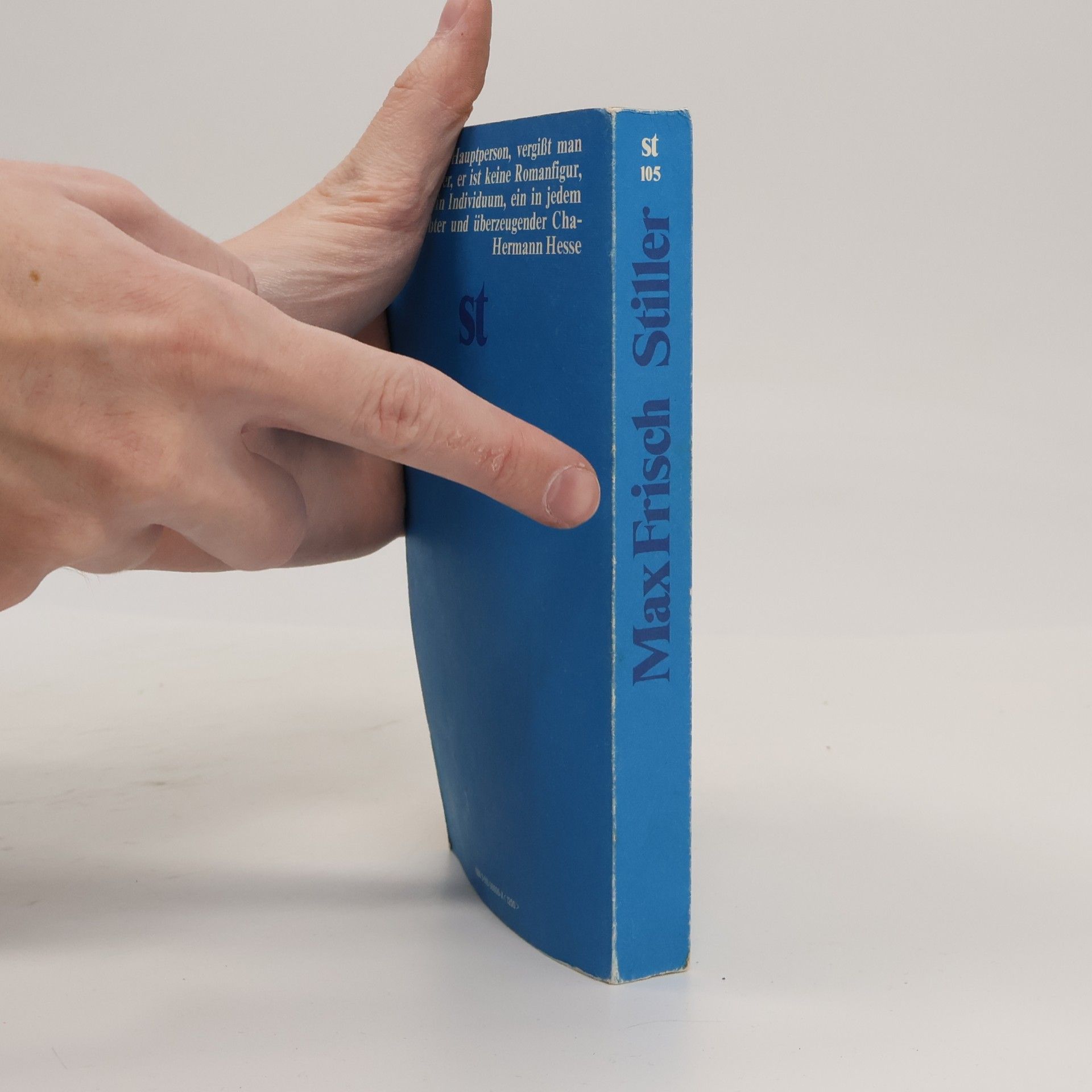Max Frisch Stiller