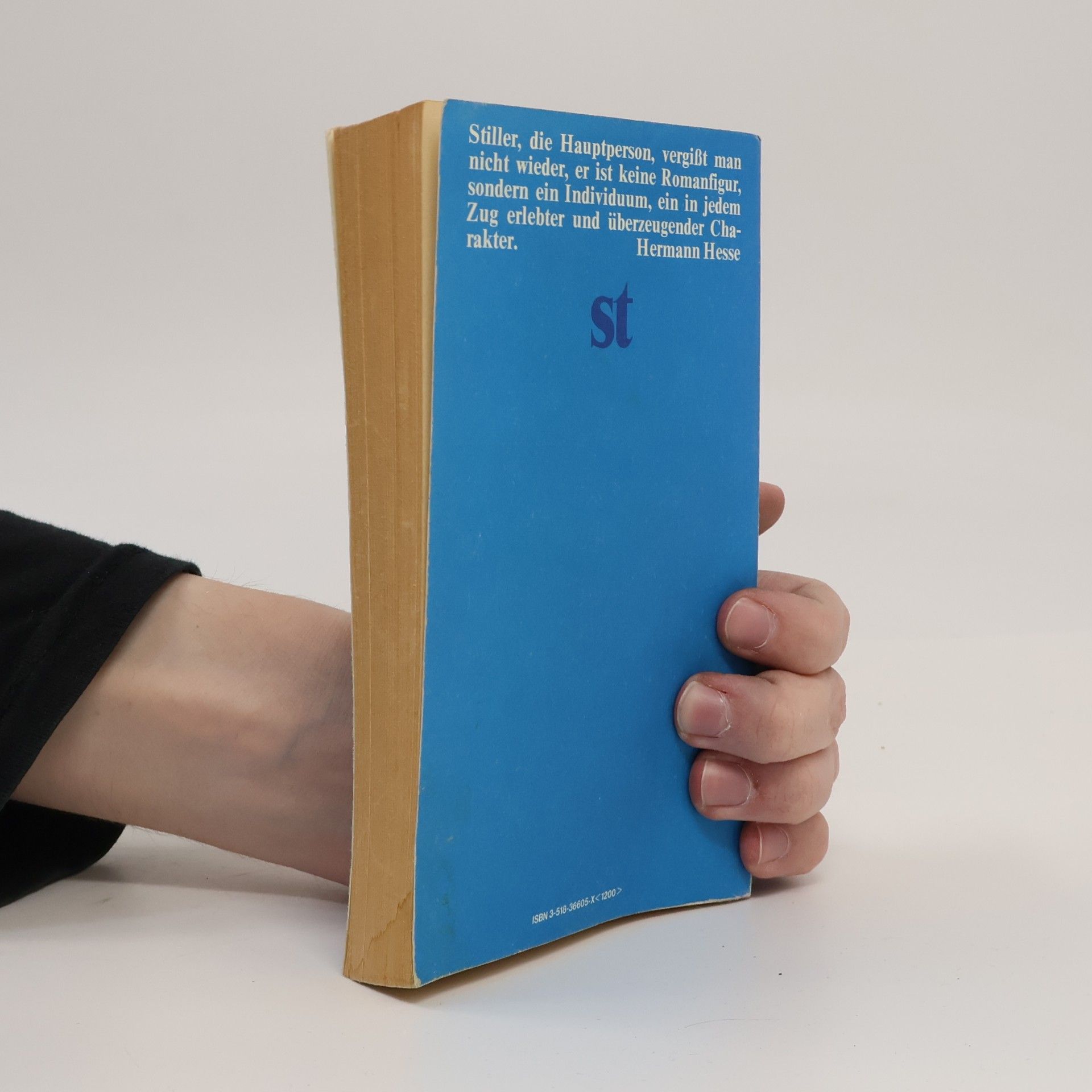 Max Frisch Stiller