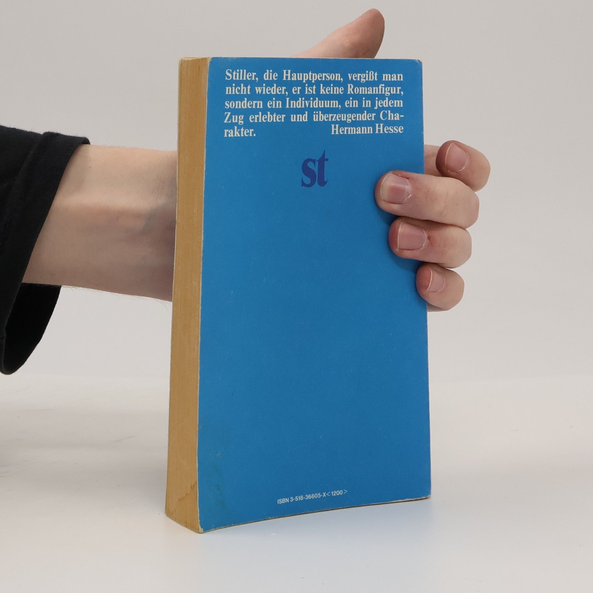 Max Frisch Stiller