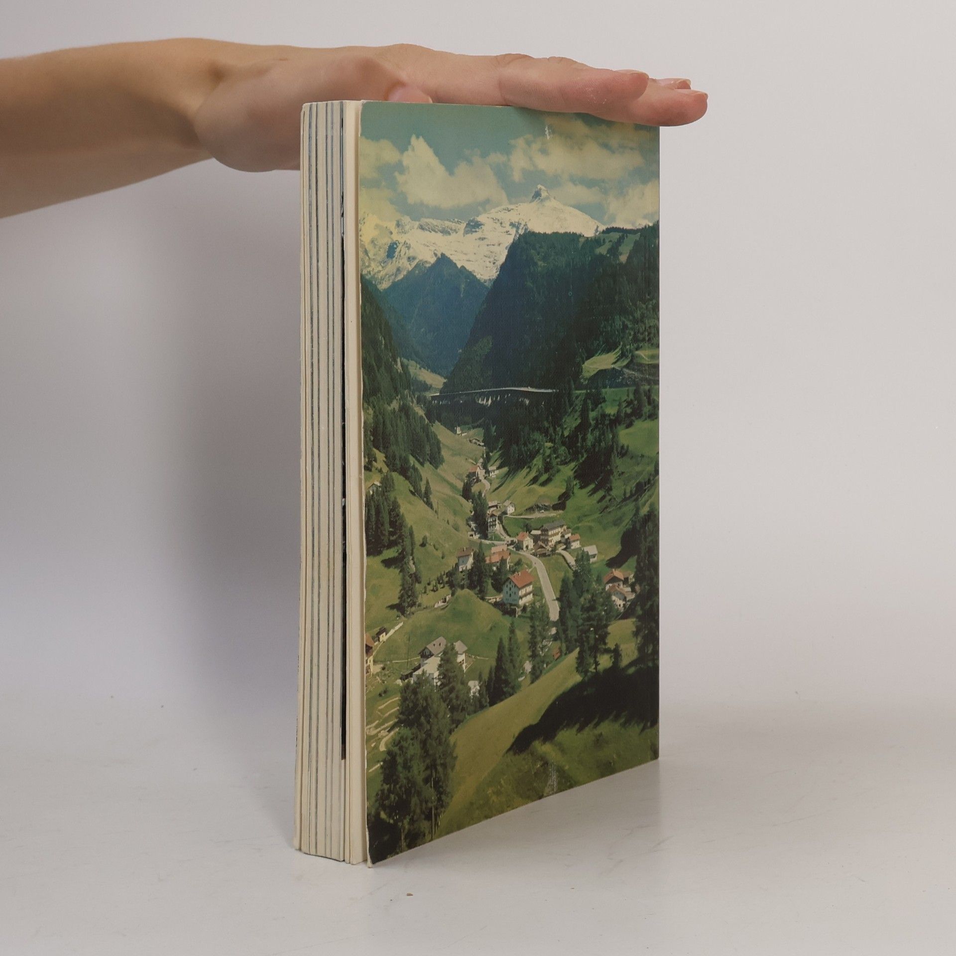Pia Maria Plechl Land der Berge