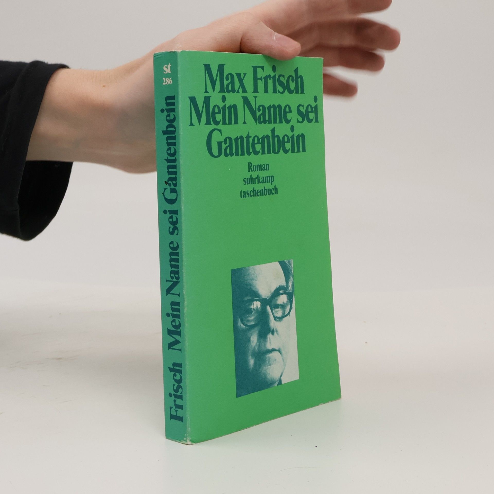 Max Frisch Mein Name sei Gantenbein