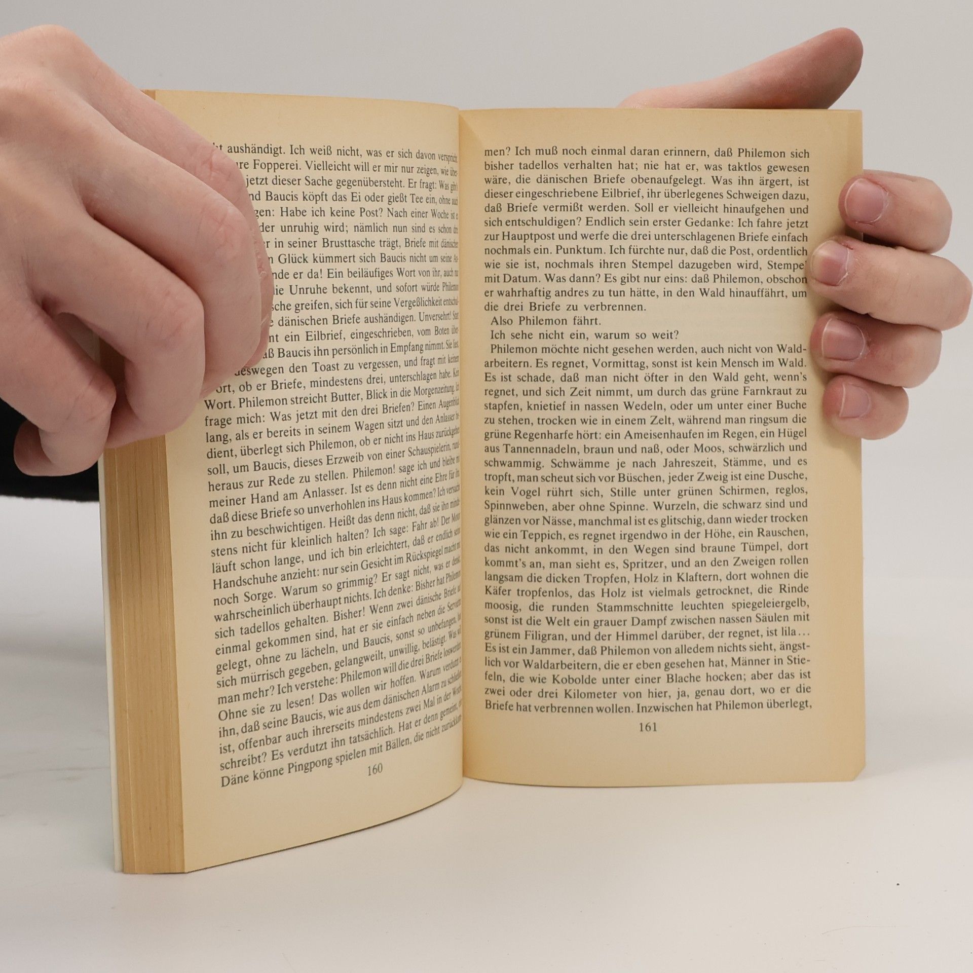 Max Frisch Mein Name sei Gantenbein