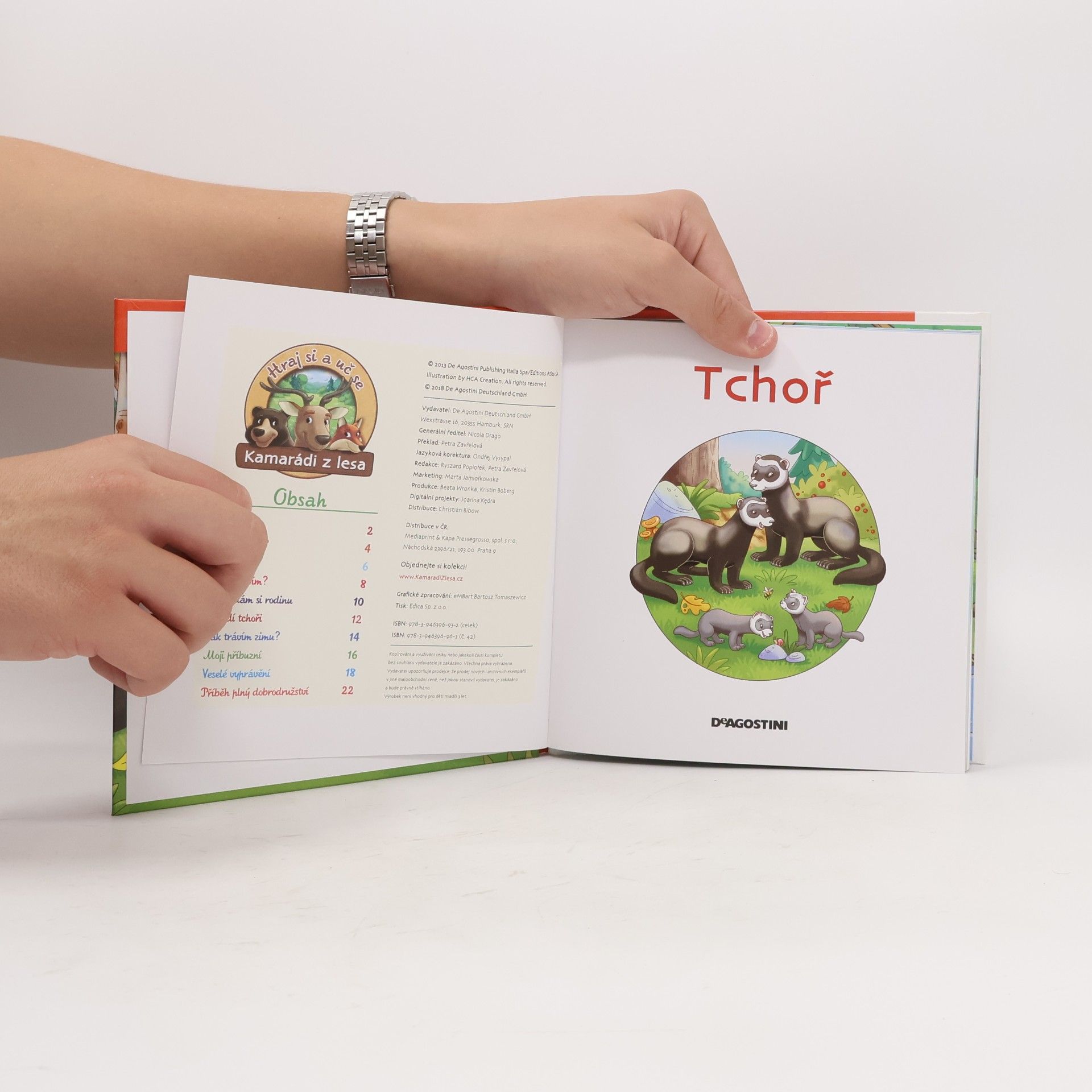 Autorenkollektiv Na okraji lesa 42: Tchoř